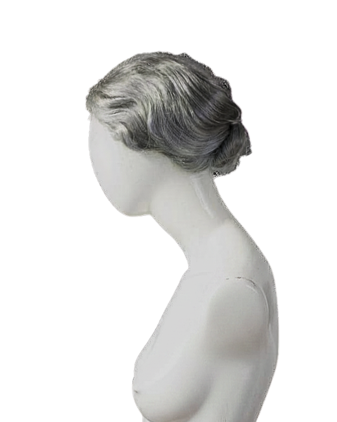 fig (5).png