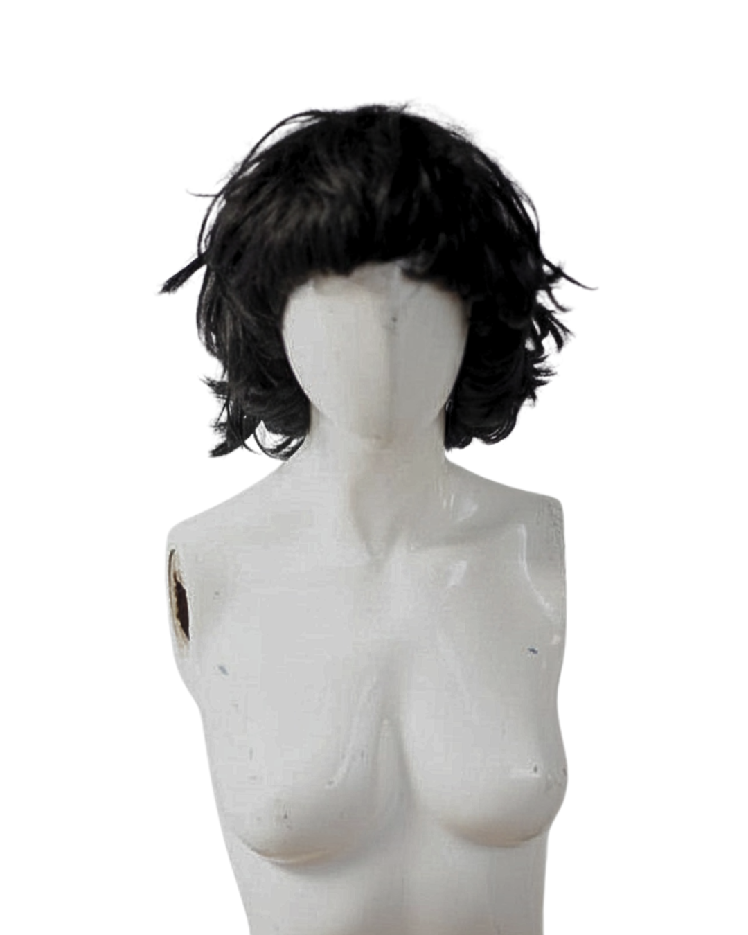 fig (16).png