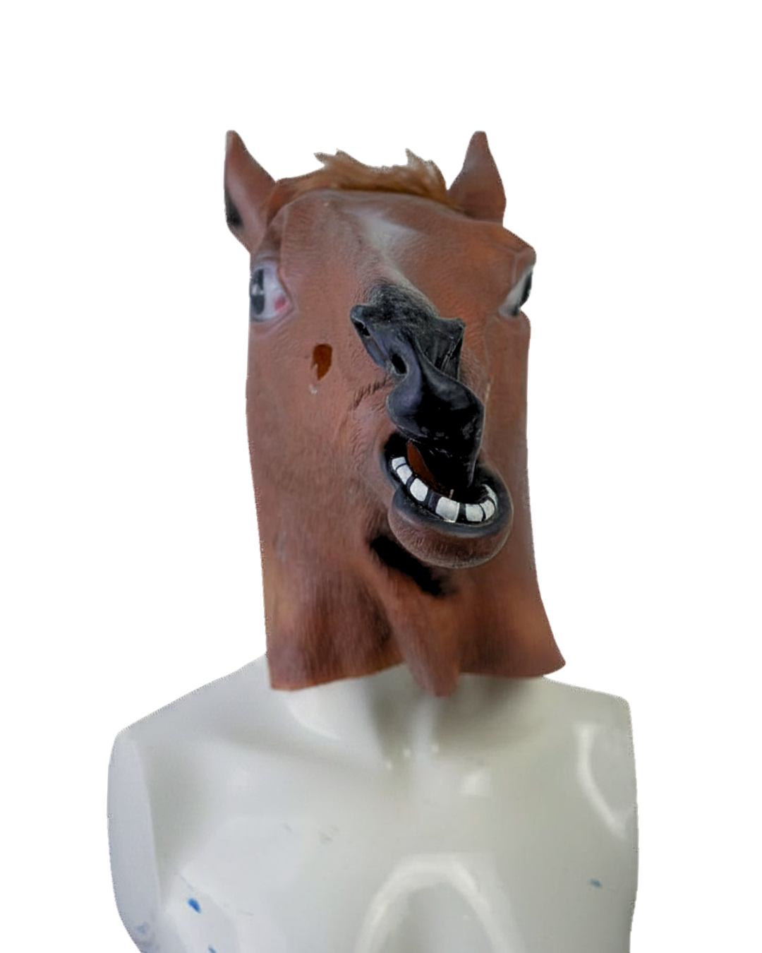 fig (73).png