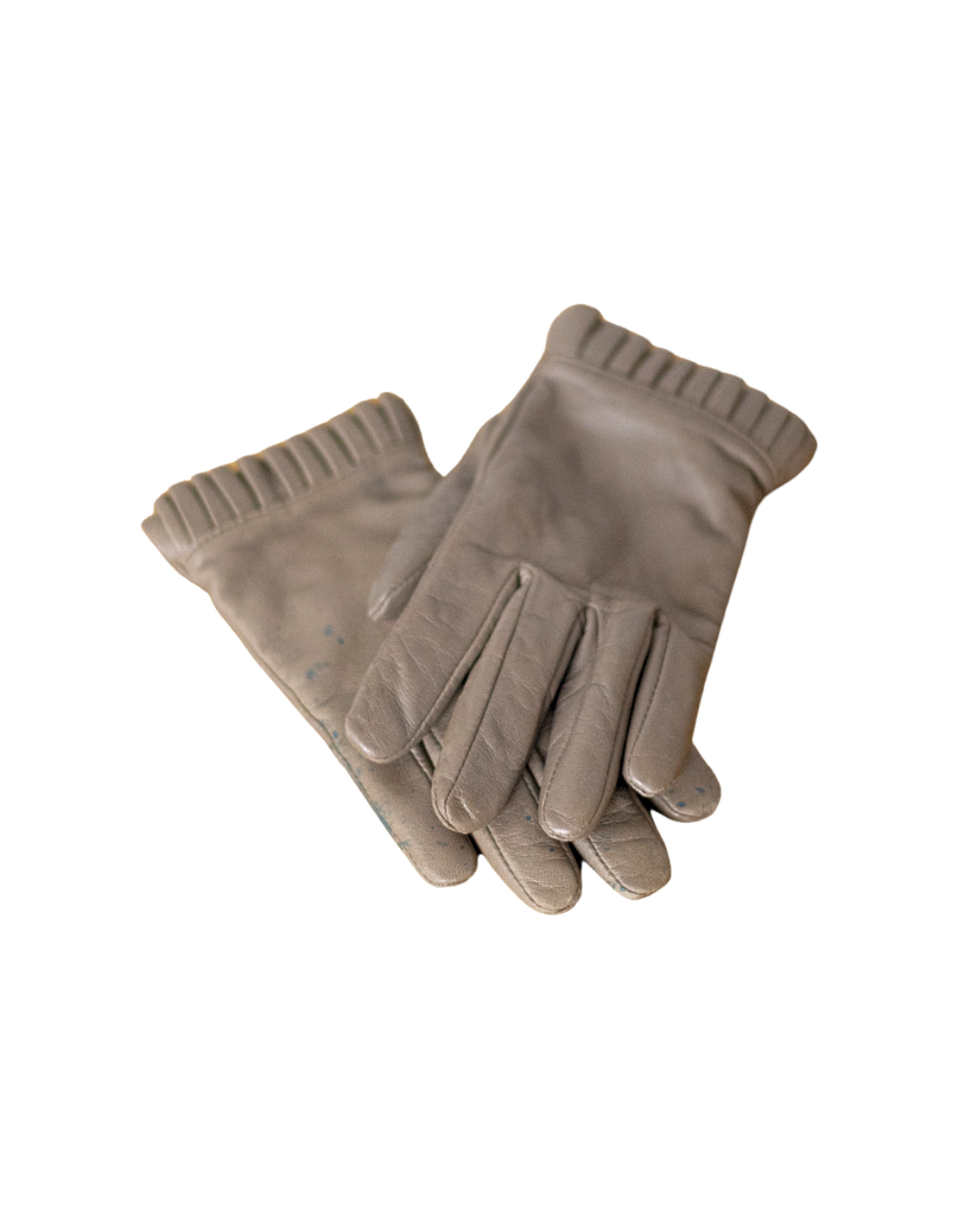 fig (56).png
