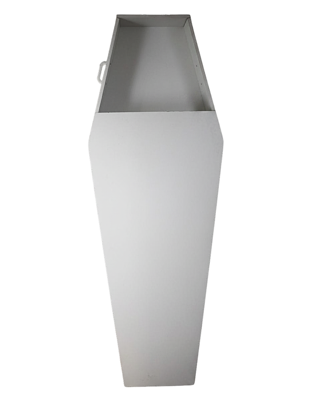 fig (2).png