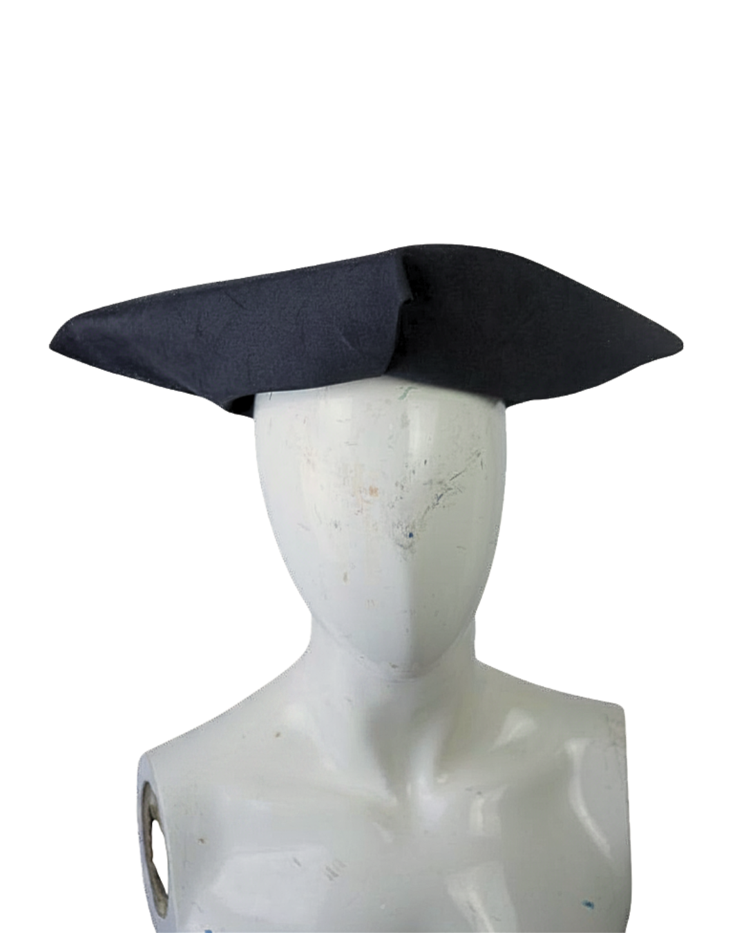 fig (66).png