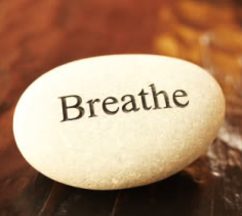 MOGEN REGLERINGSFÖRMÅGA ✨💛