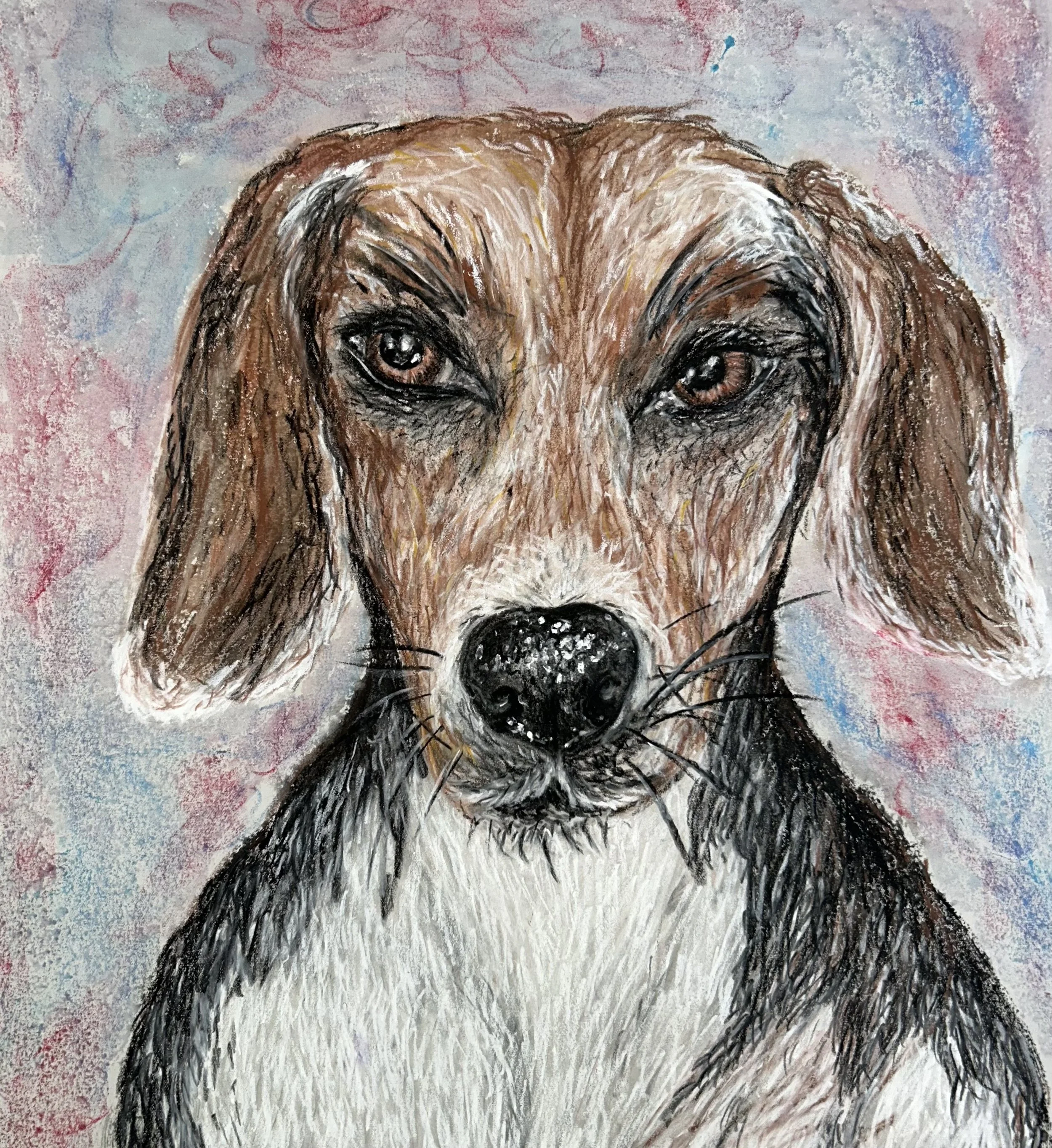 FullSizeRender 12.jpeg