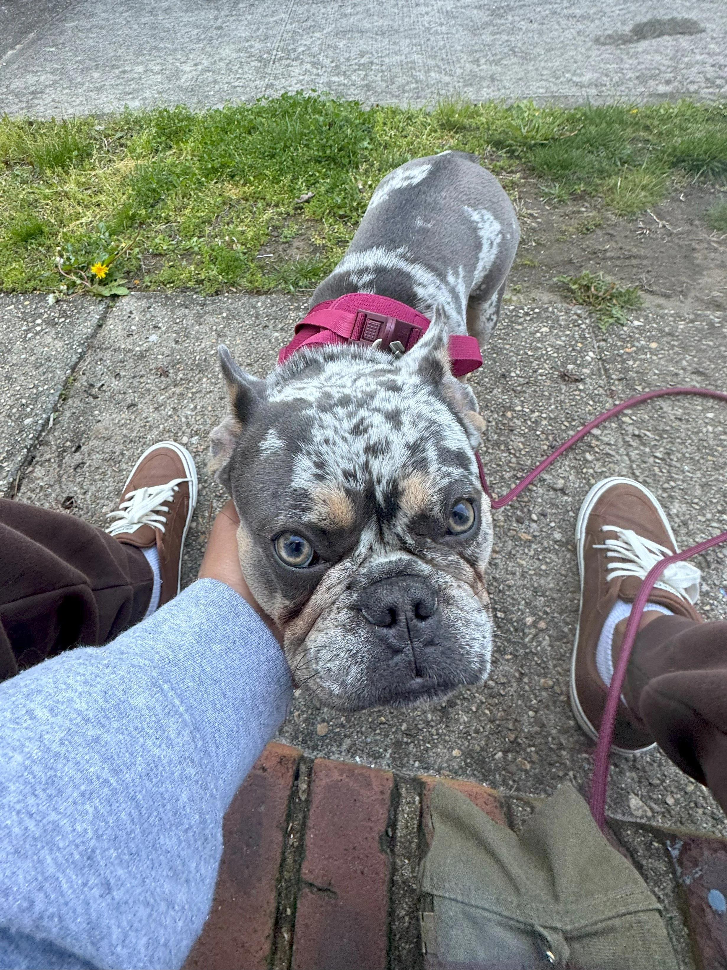 Nellies last day.jpeg