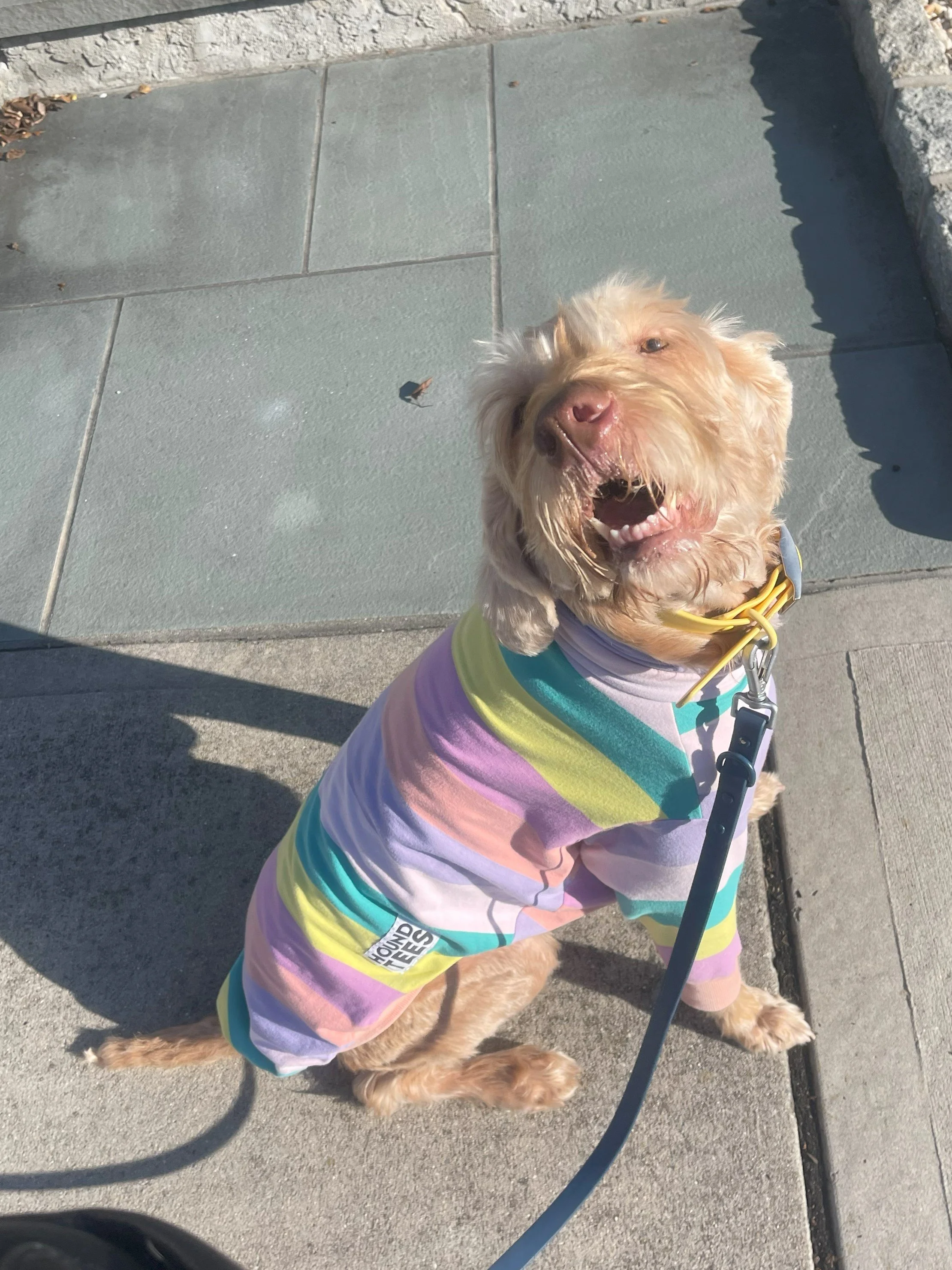 Bramble sweatshirt.jpeg