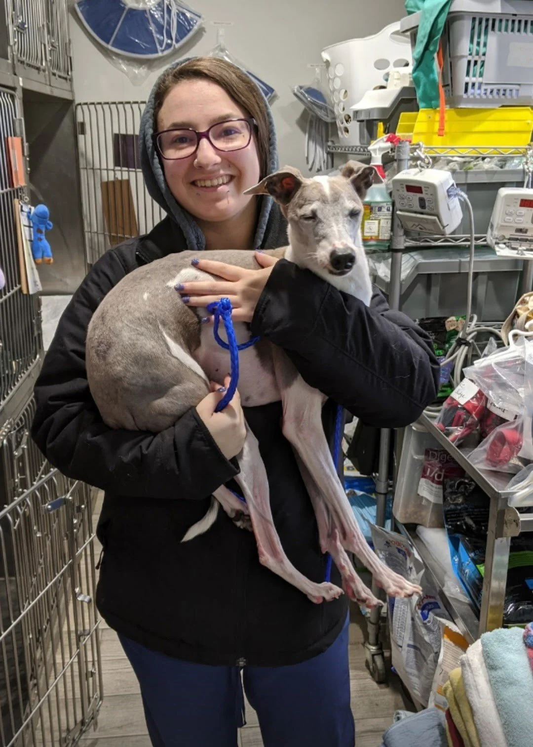 Erica Vet Holding Dog.jpeg