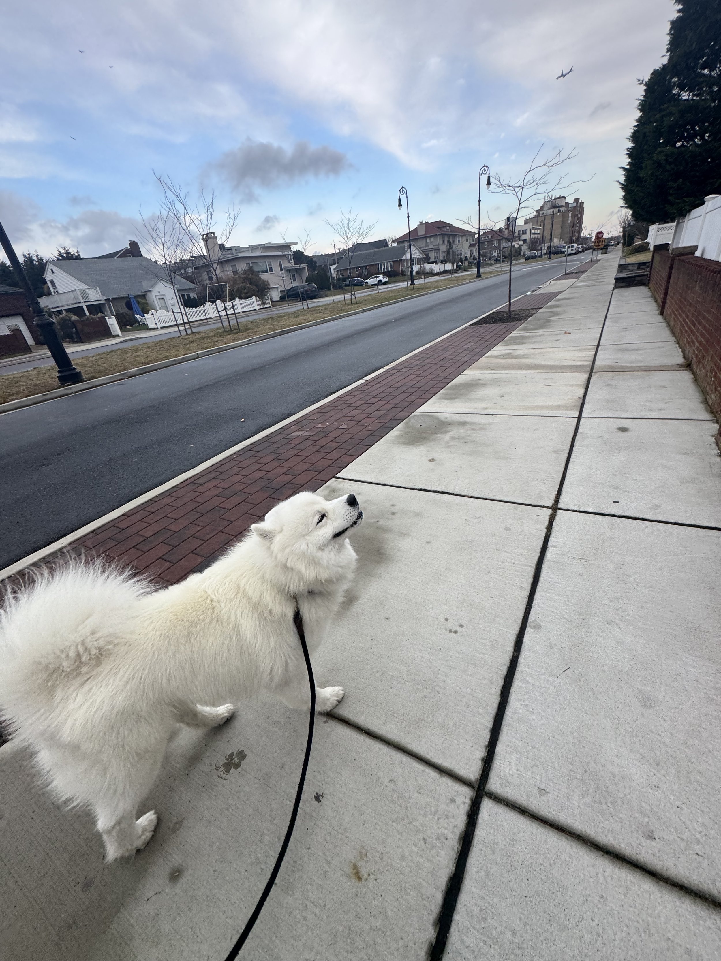 IMG_4216.jpeg