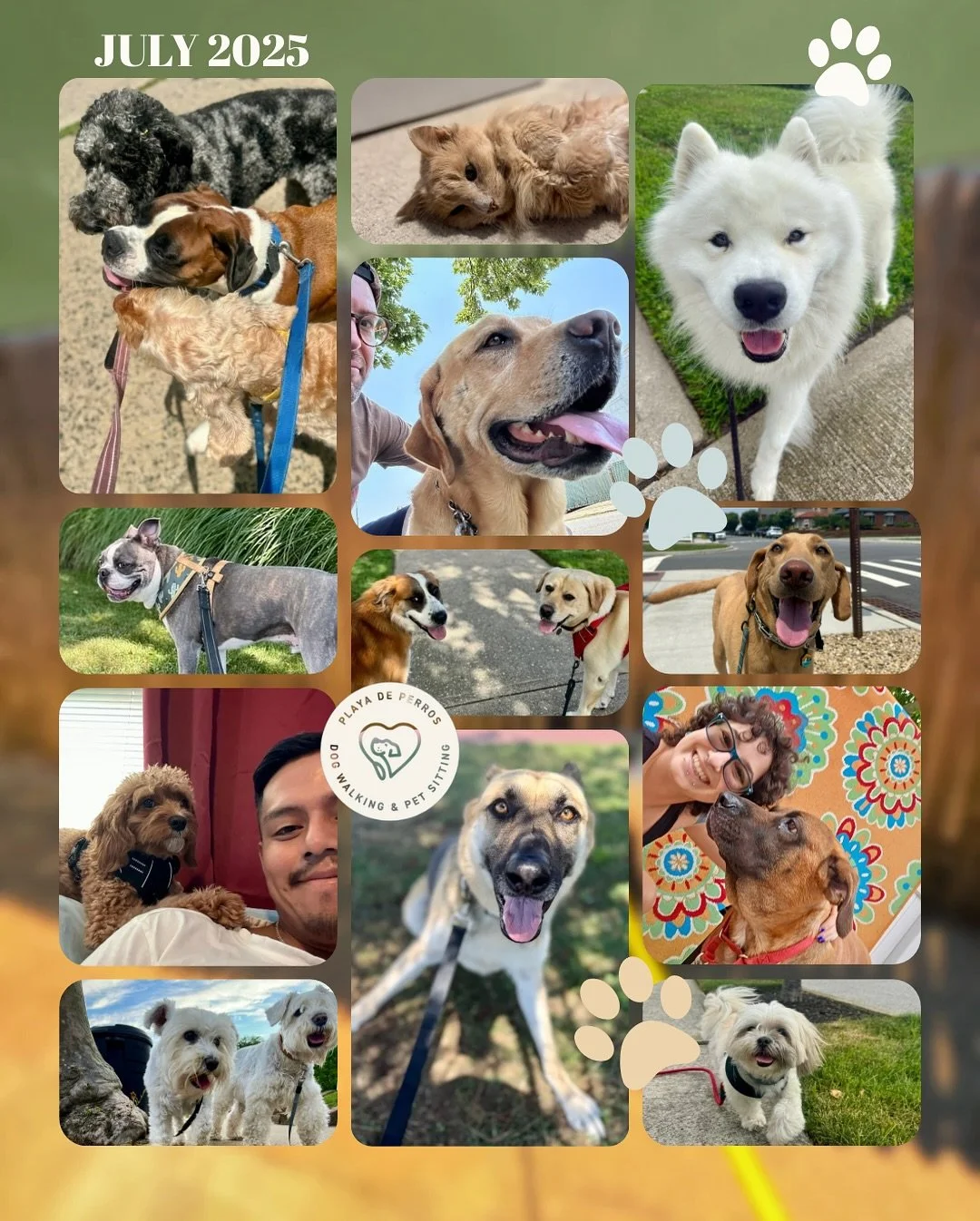 Bombastic shots from July ☀️

We&rsquo;re always so happy to highlight our awesome pets and amazing pet sitters who deliver reliable care for our growing pack.

Every family&rsquo;s schedule and needs are unique, so we work together to keep the energ