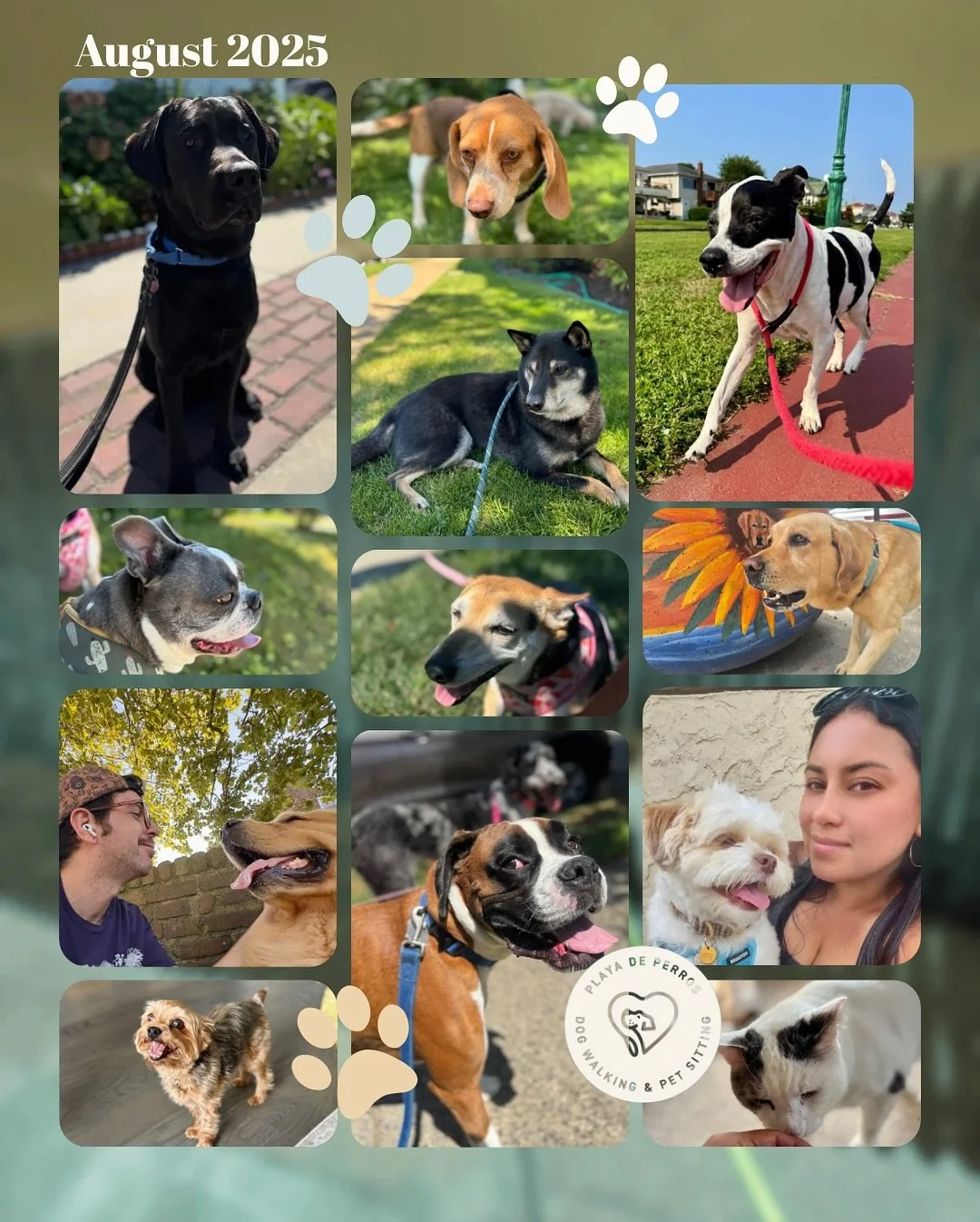 Some of our favorite pictures from August. 🐾 We love what we do and the furry friends we get to care for. 😌🐶🐱 

#petsitting #lbny #dog #cat #dogwalking