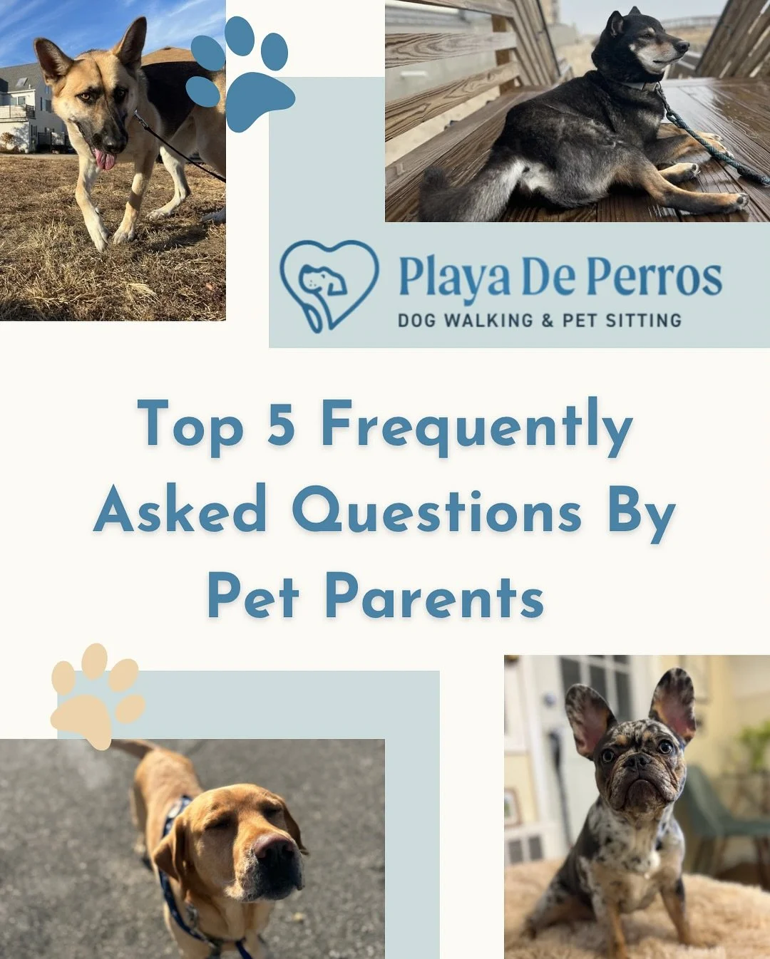Top 5 pet parent FAQs☝️🐶🐱

Pet care is all about keeping you informed and your fur baby loved to the fullest. Stay tuned for our top 5 pet FAQs 😂🐾 and our top 5 we wish we got more often. 🫶 

Join the pack and get two free visits after your meet