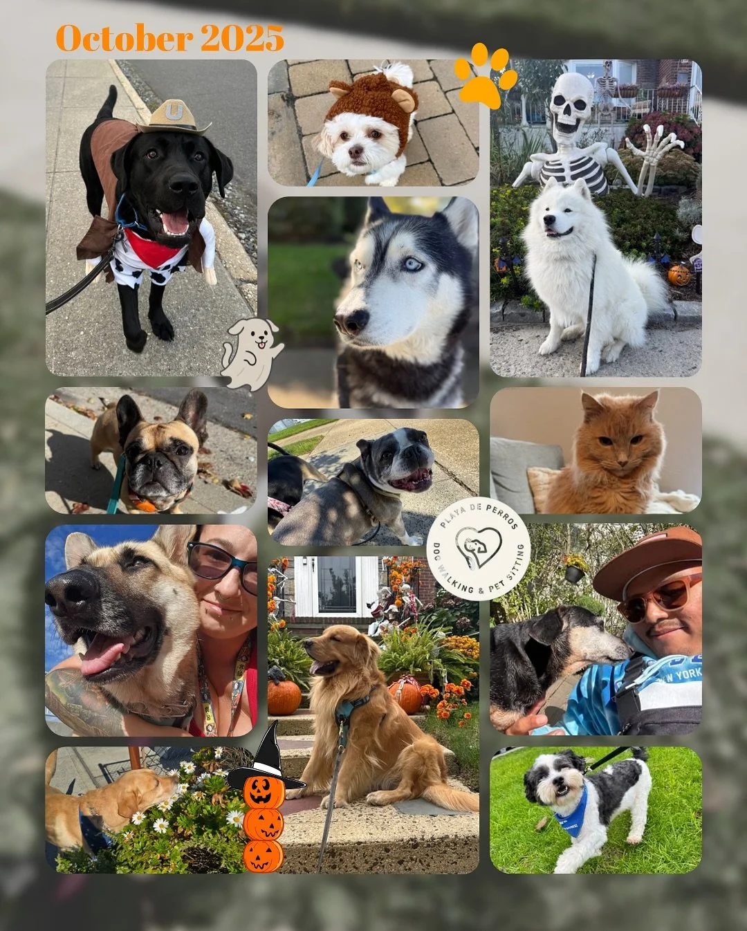 It was a spooky puptober, thanks to everybody! 🎃👻

#October #LBNY #LongBeachDogs #LongBeachPets #PetSitter #DogWalker #CatSitter  #PlayaDePerros #PetCareProfessionals #DogSitting #PetSittingServices #DogLoversNY #PetParents #LocalPetCare #TrustedPe