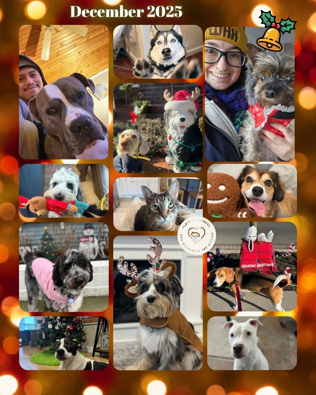 December moments. We hope everyone enjoyed the holidays with their fur babies. 🎉💙

#LBNY #LongBeachDogs #LongBeachPets #PetSitter #DogWalker #CatSitter  #PlayaDePerros #PetCareProfessionals #DogSitting #PetSittingServices #PetParents #LocalPetCare 