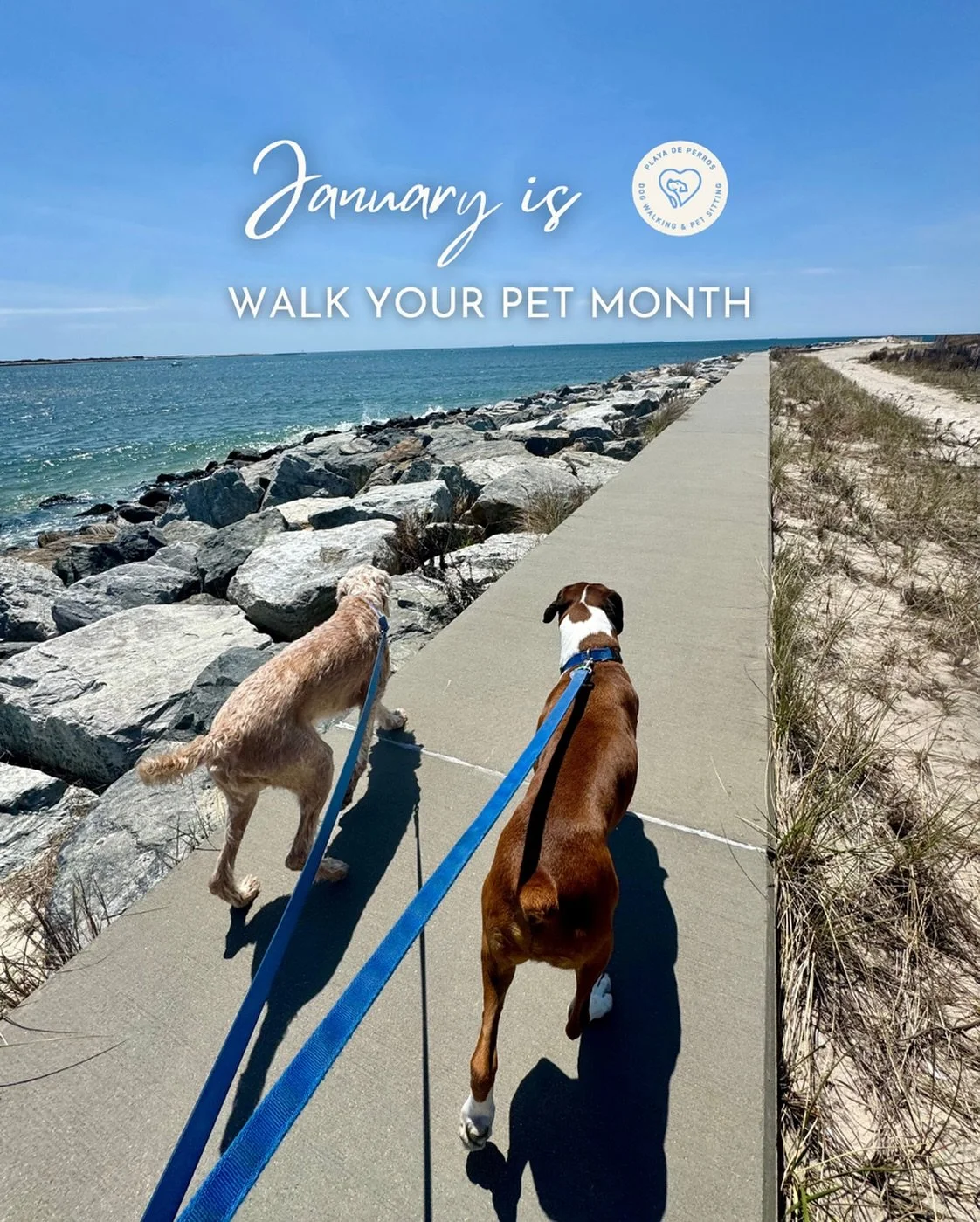 Walk Your Pet Month 🐾👣

Daily walks matter. Shoutout to the pet parents who make them a priority. We know life can get busy and we&rsquo;re here to help!

#LBNY #LongBeachDogs #LongBeachPets #PetSitter #DogWalker  #PlayaDePerros #PetCareProfessiona