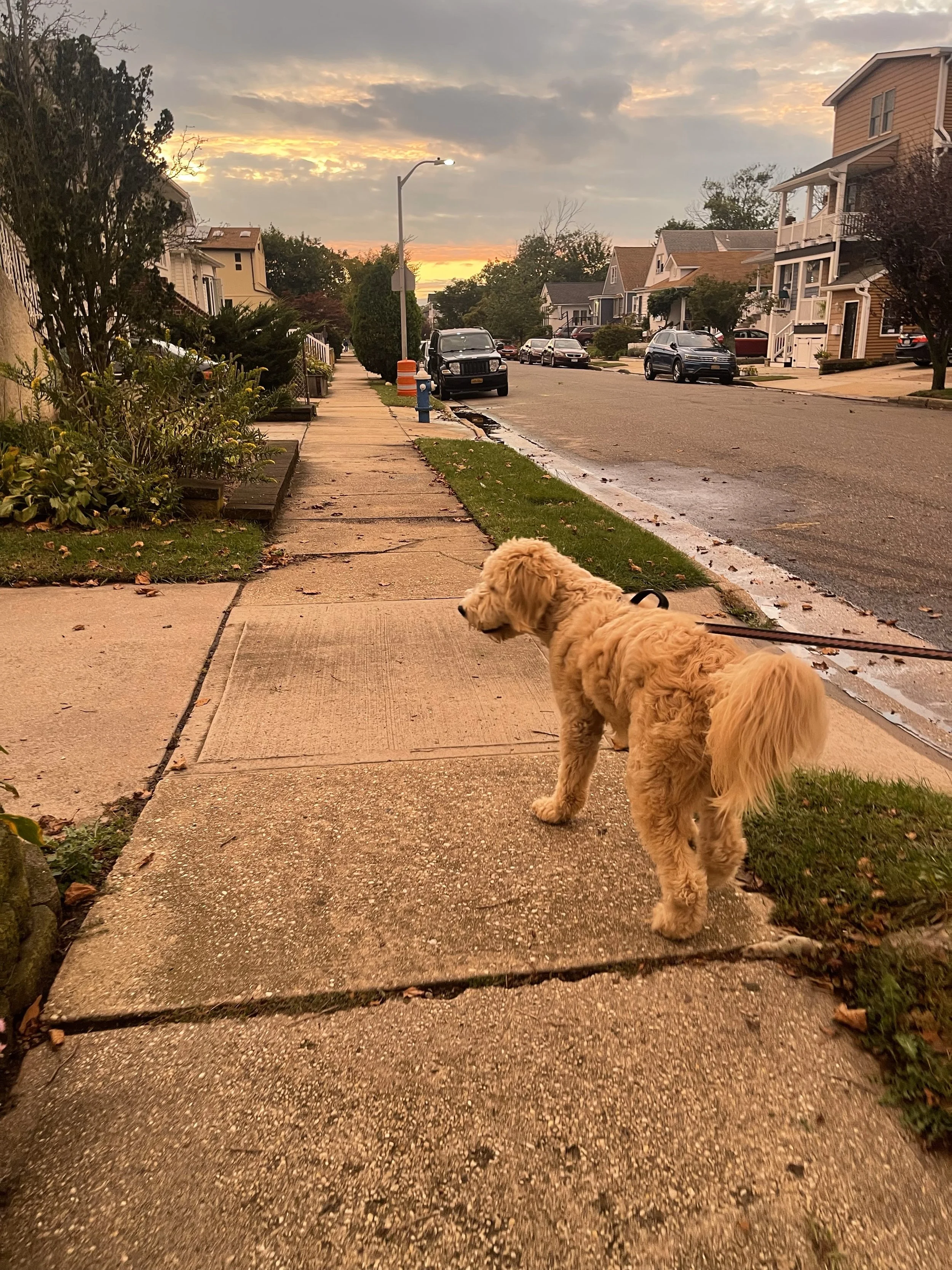 cruz golden hour.jpeg