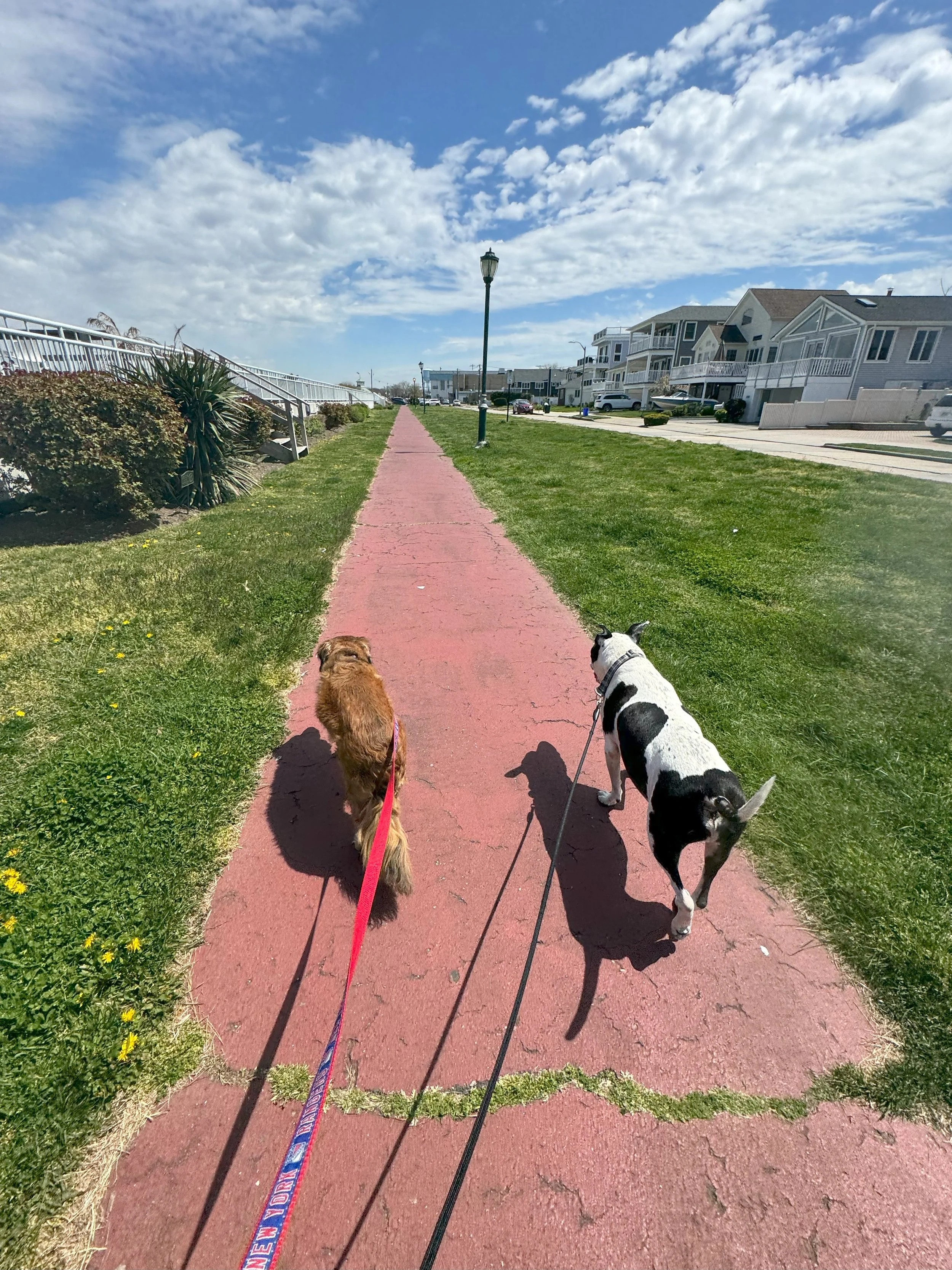 Mickey and Maui red road.jpeg