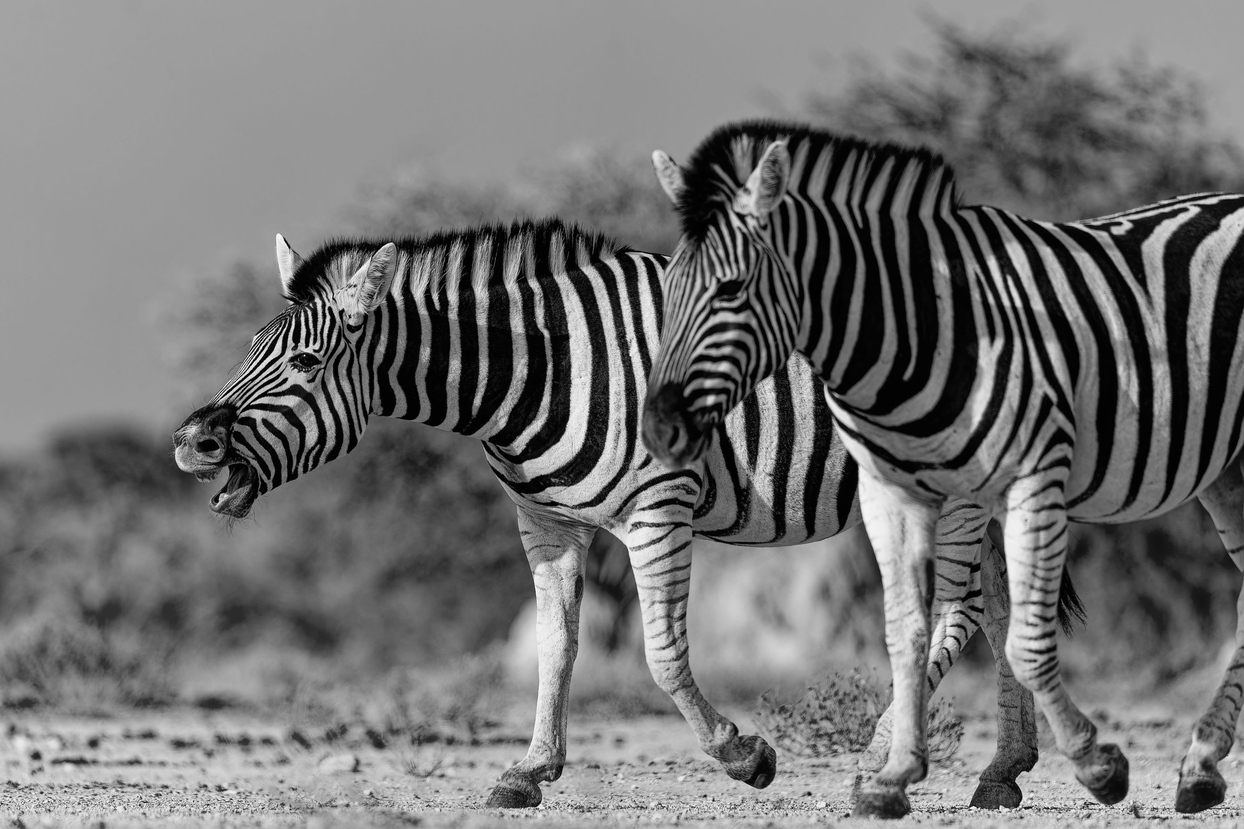 Namibia-BW