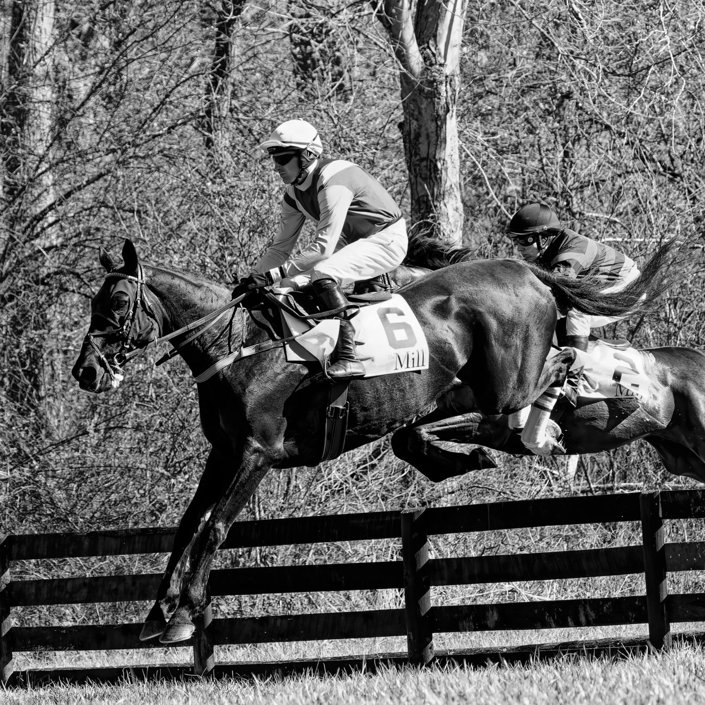 Black and white photograph of two jockeys riding racehorses, jumping over a fence during a steeplechase race in a wooded area.