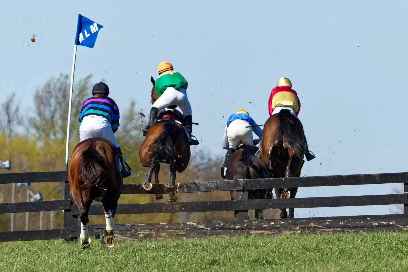 Four polo players wearing helmets and colorful shirts riding horses over a wooden fence during a match. One flag with the letters 'MLM' is visible.