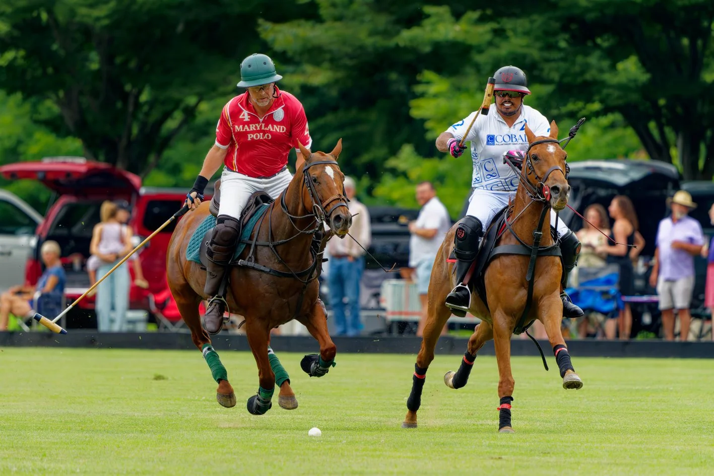 DSC00579MS-FPM.jpg