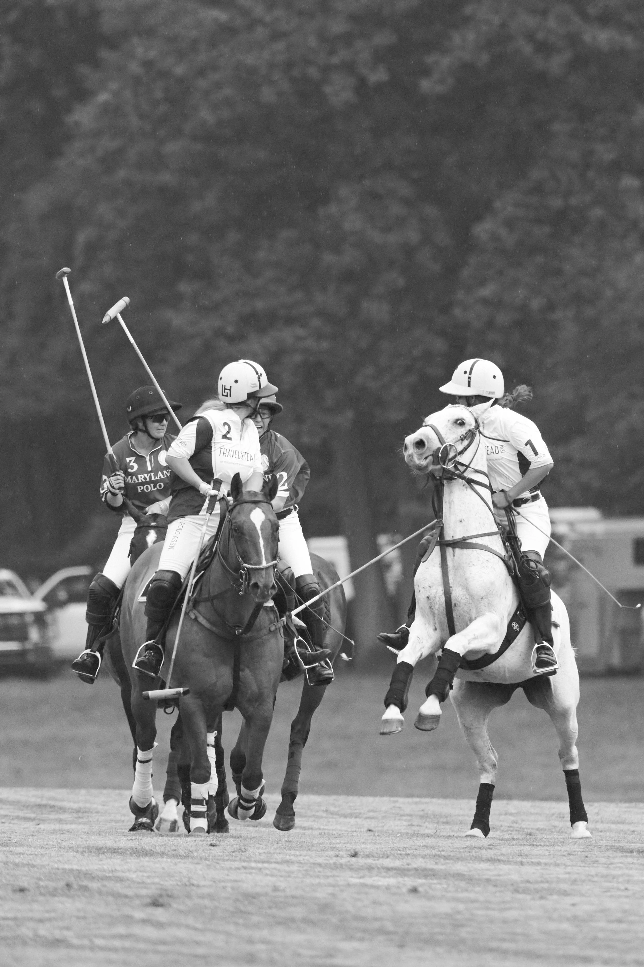 MS-My Lady's Manor Steeplechase Exhibition 6-14-25 8.jpg