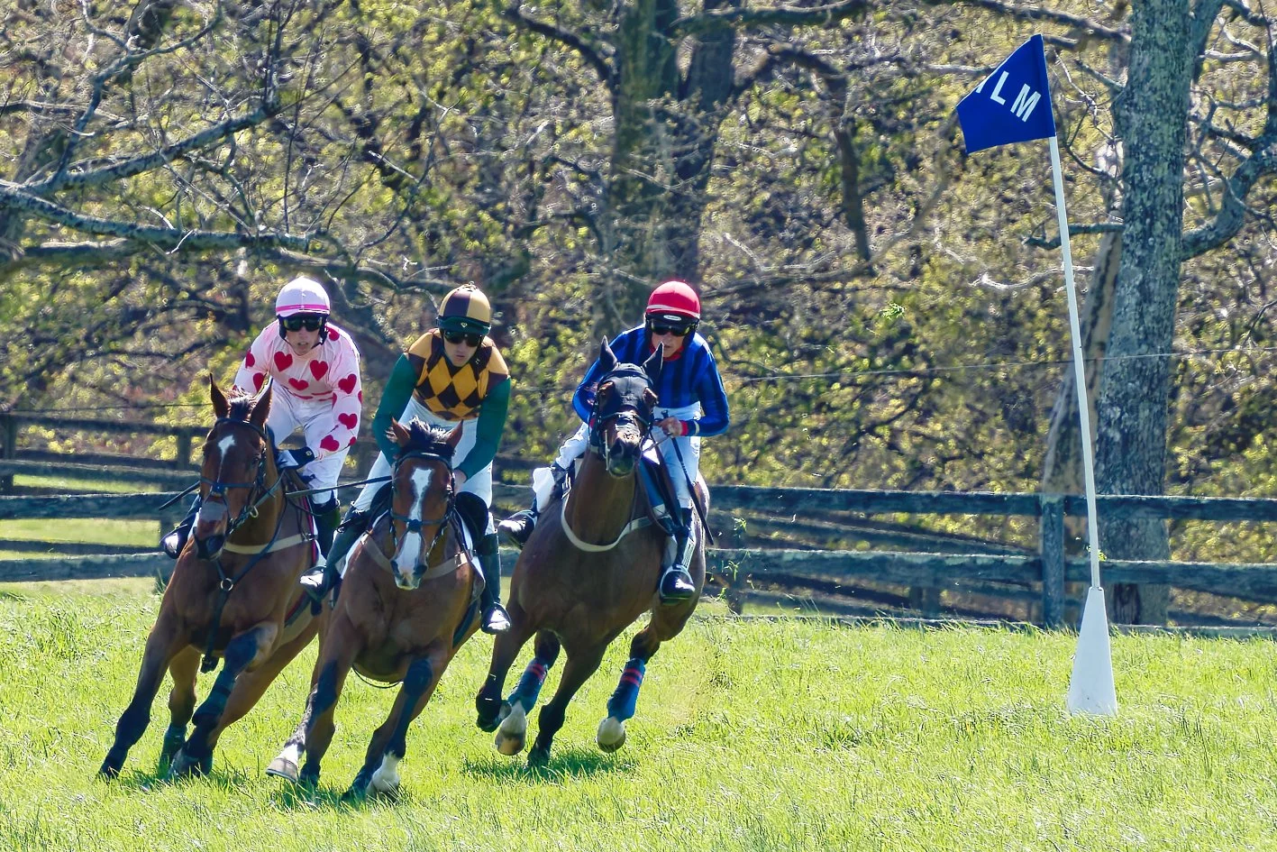 Three jockeys riding racehorses on a grassy field, with a blue flag on a stick nearby, and trees in the background.