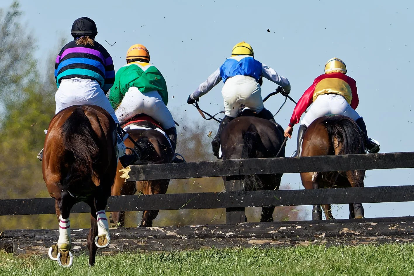 Jockeys riding horses during a race, jumping over a wooden fence on a grassy track under a clear sky.