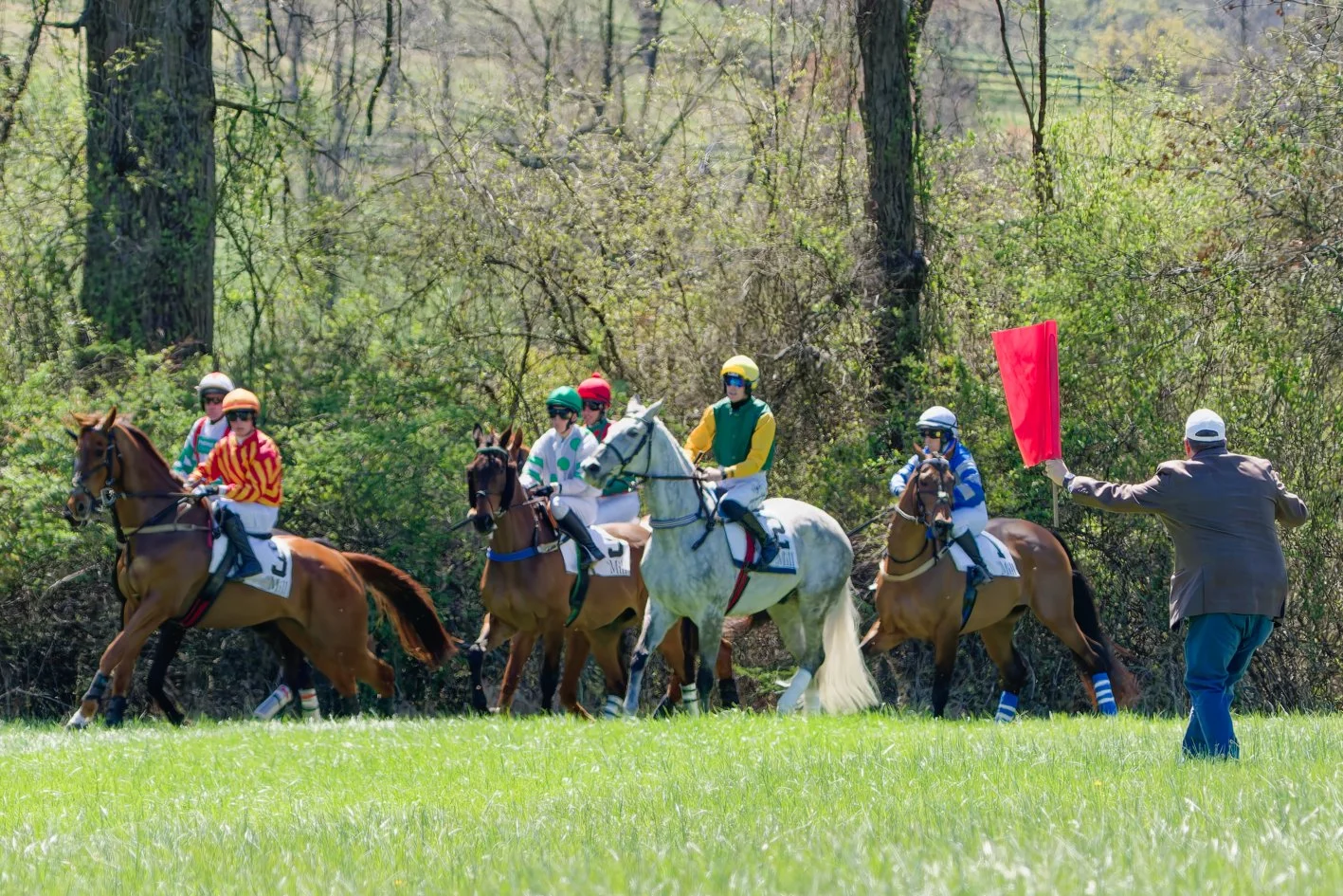 Horse racing event with jockeys on horses and an official holding a red flag.