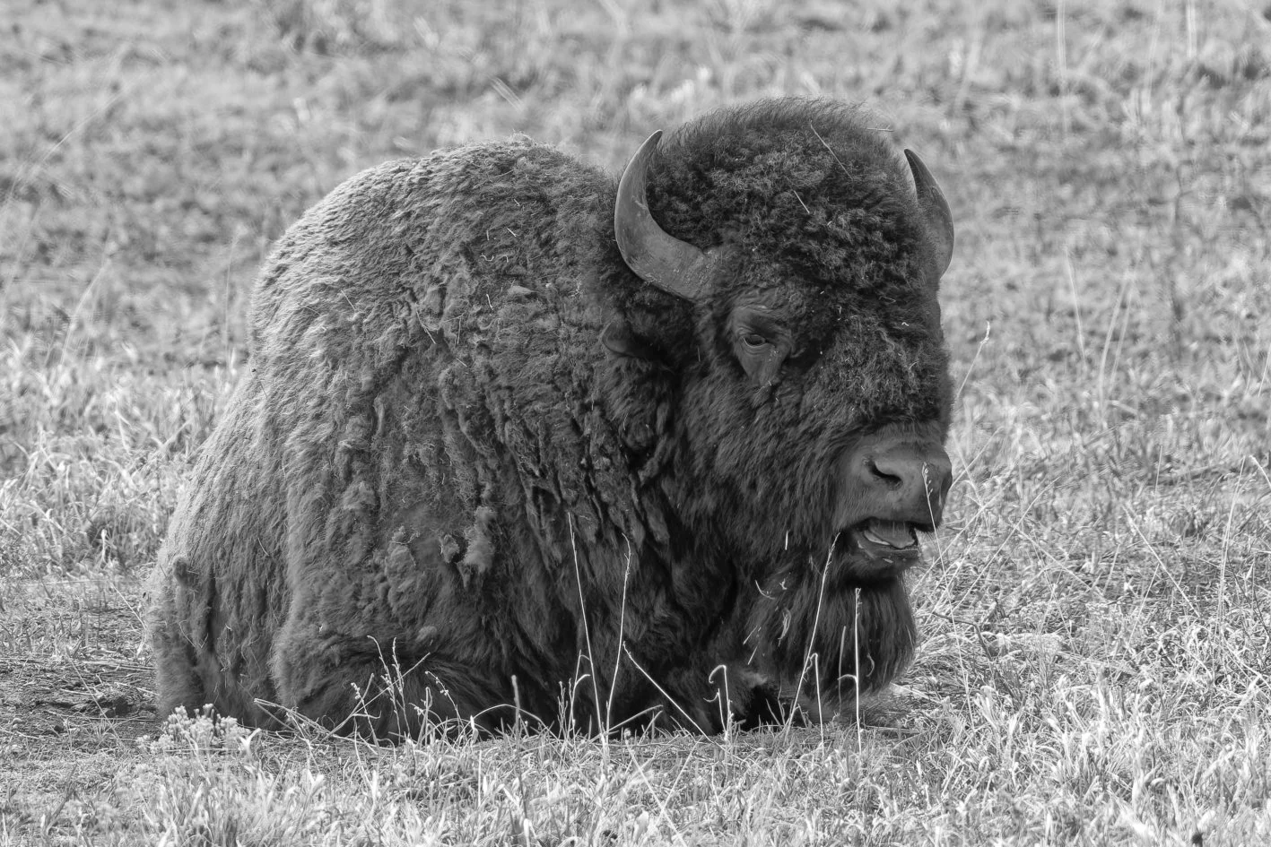 DSC09162_DxO.jpg