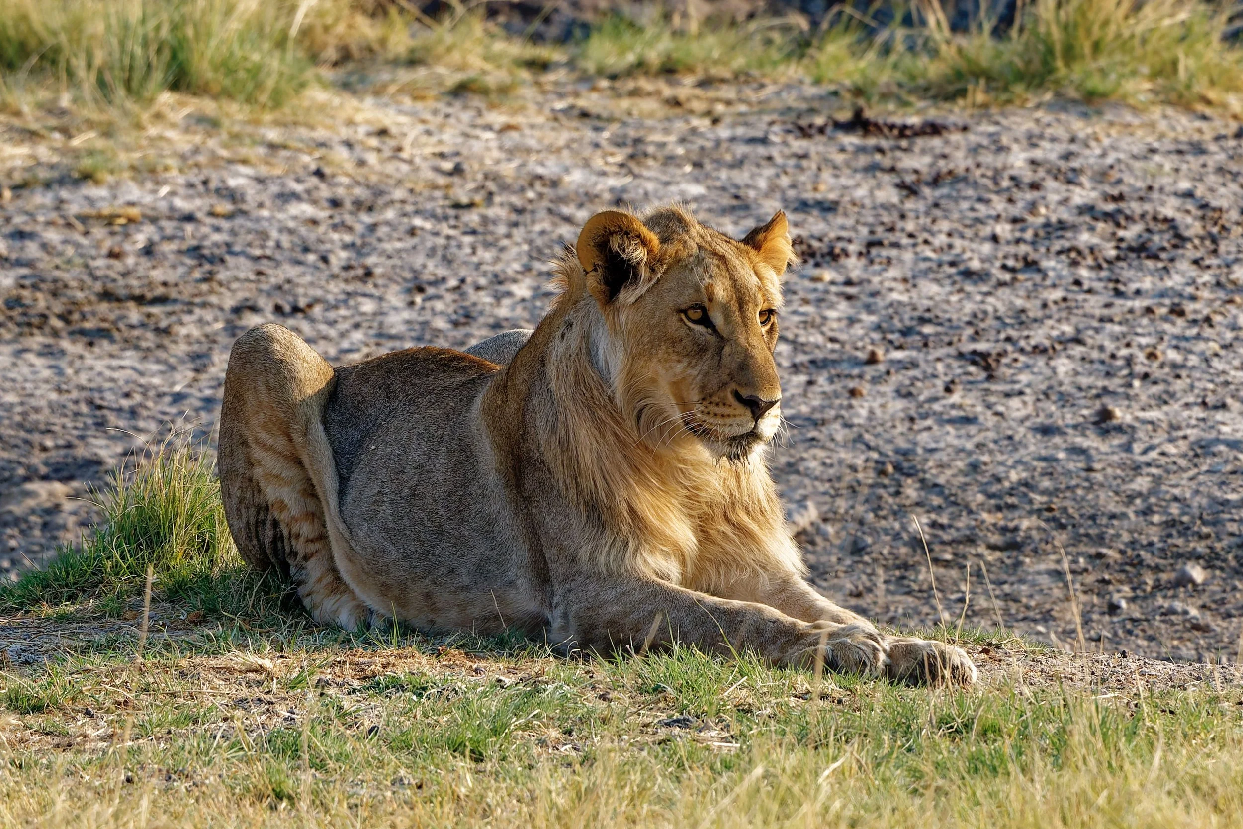 Namibia-2025_2896_DxO.jpg