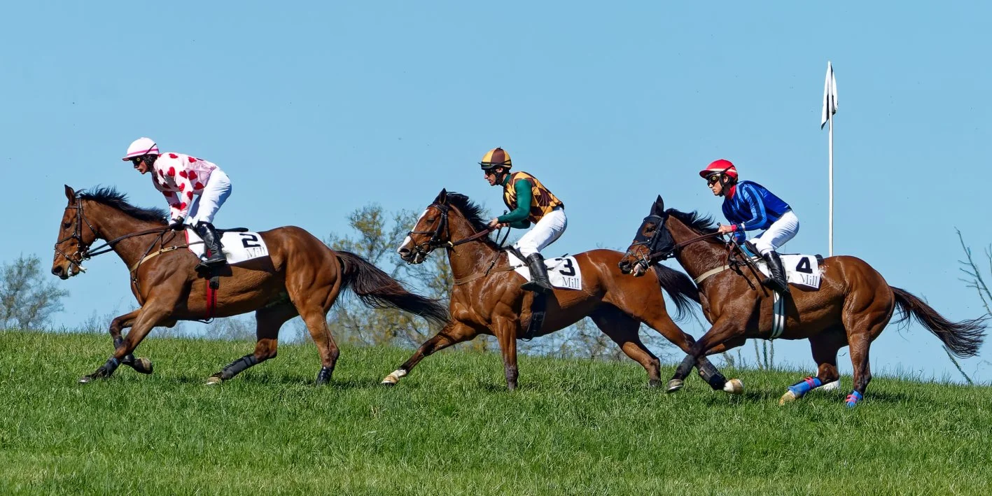 Four jockeys riding horses in a horse race on a grassy field during daytime, with a clear blue sky.