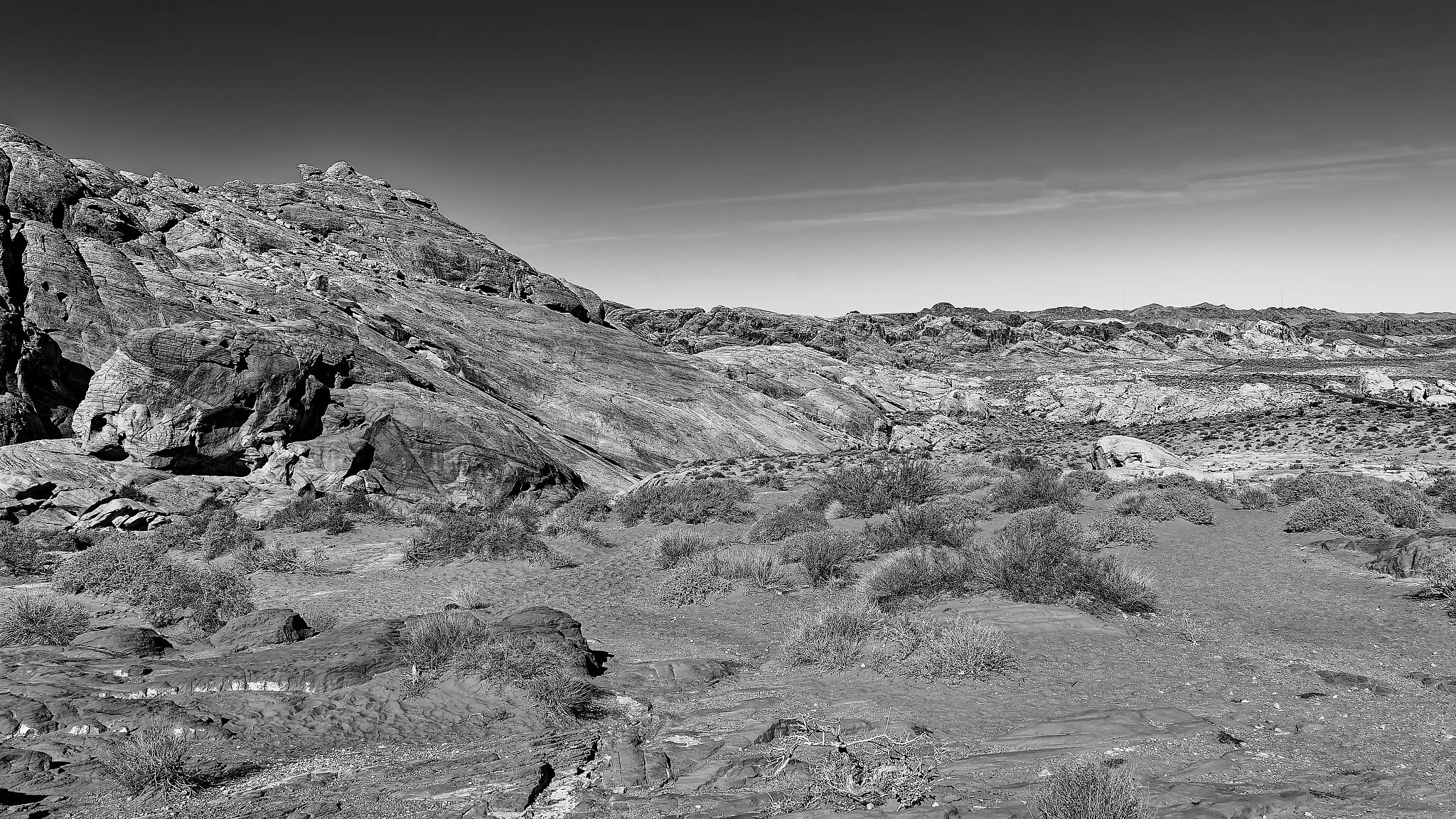 DSC03405_DxO.jpg