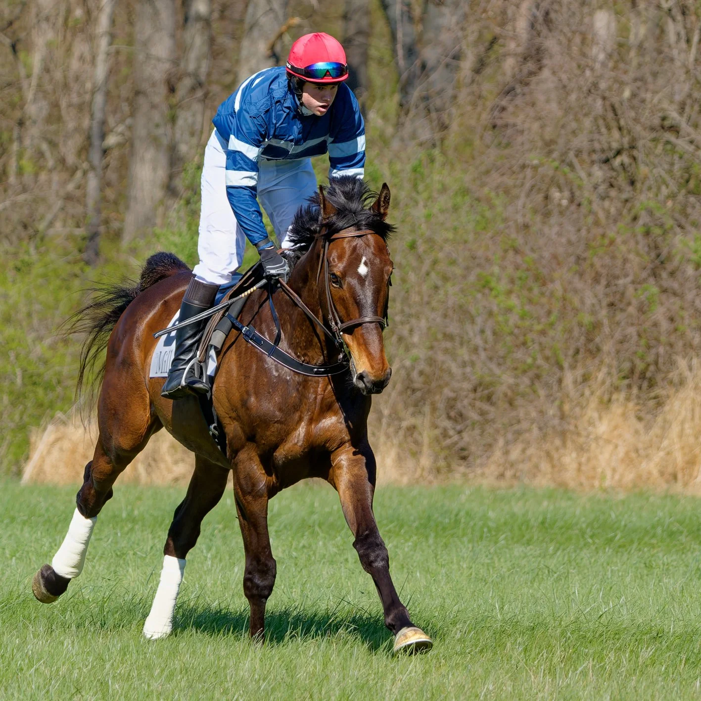 A jockey riding a brown horse with white markings on a grassy field during daytime.