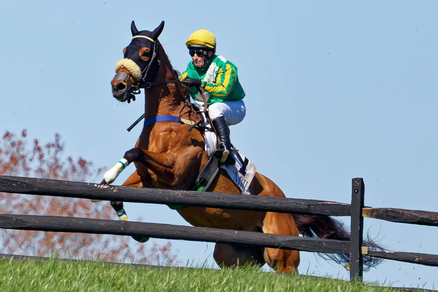 Jockey wearing green and yellow racing silks, riding a brown horse over a wooden fence during a race on a grassy track.