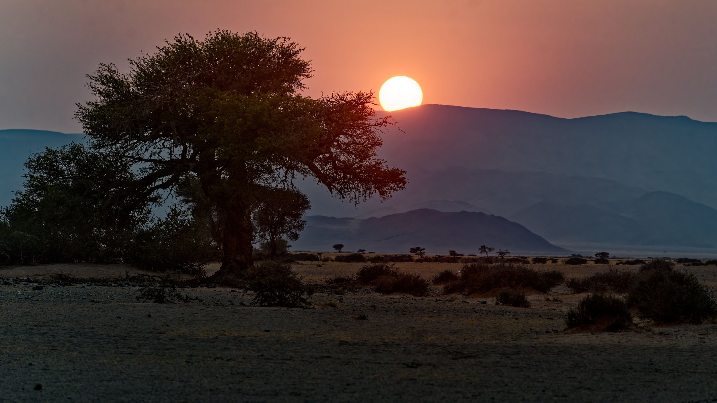 Namibia-2025_418_DxO.jpg