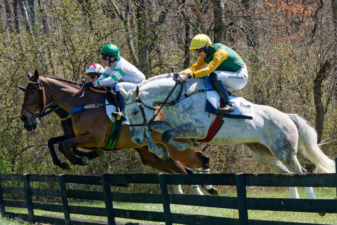 Two jockeys racing on their horses during a steeplechase, jumping over a fence with a wooded background.
