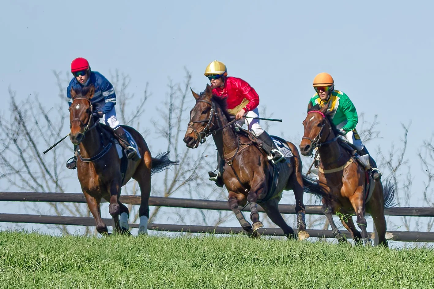 Three jockeys riding horses in a horse race on a grassy track with a wooden fence and bare trees in the background.