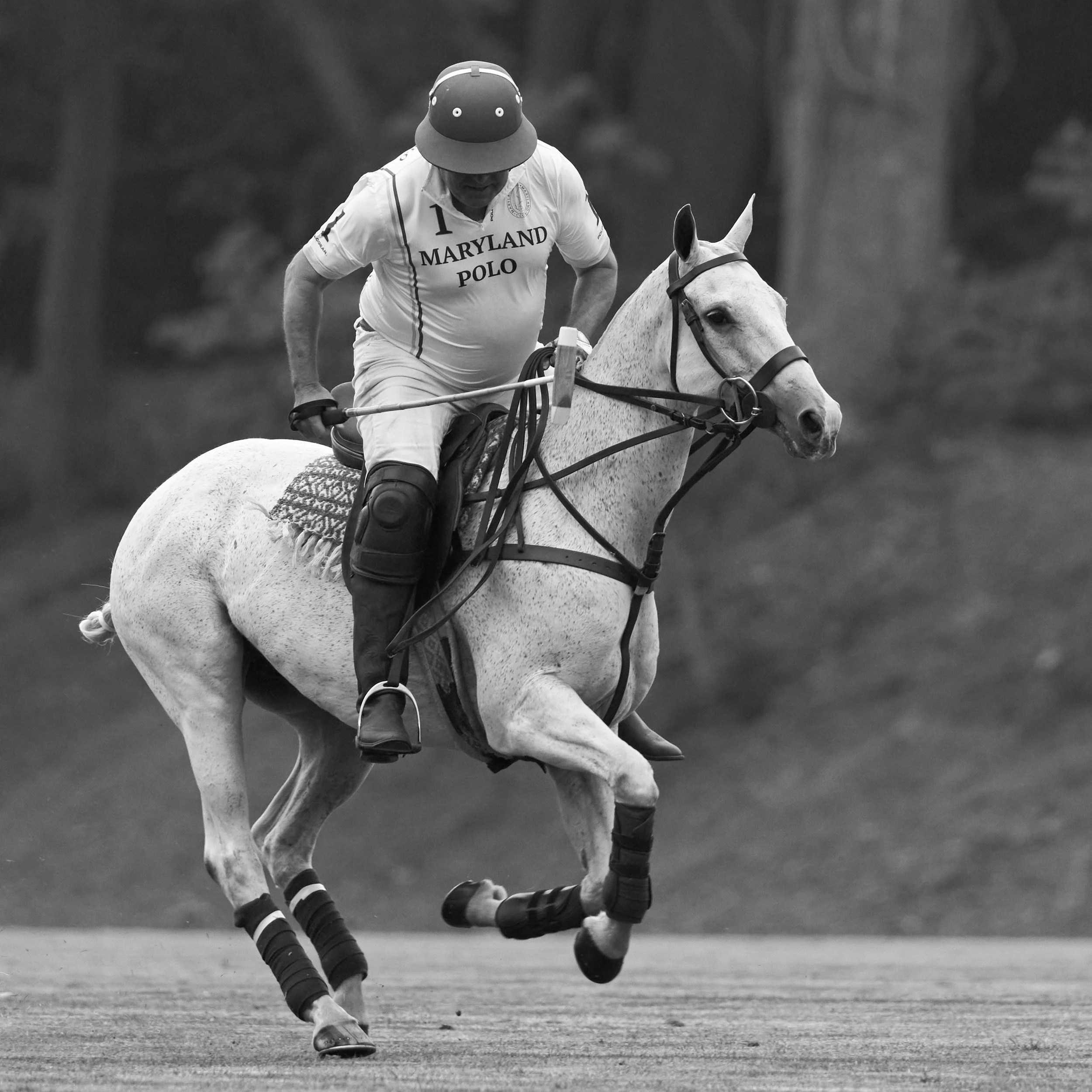 MS-My Lady's Manor Steeplechase Exhibition 6-14-25.jpg