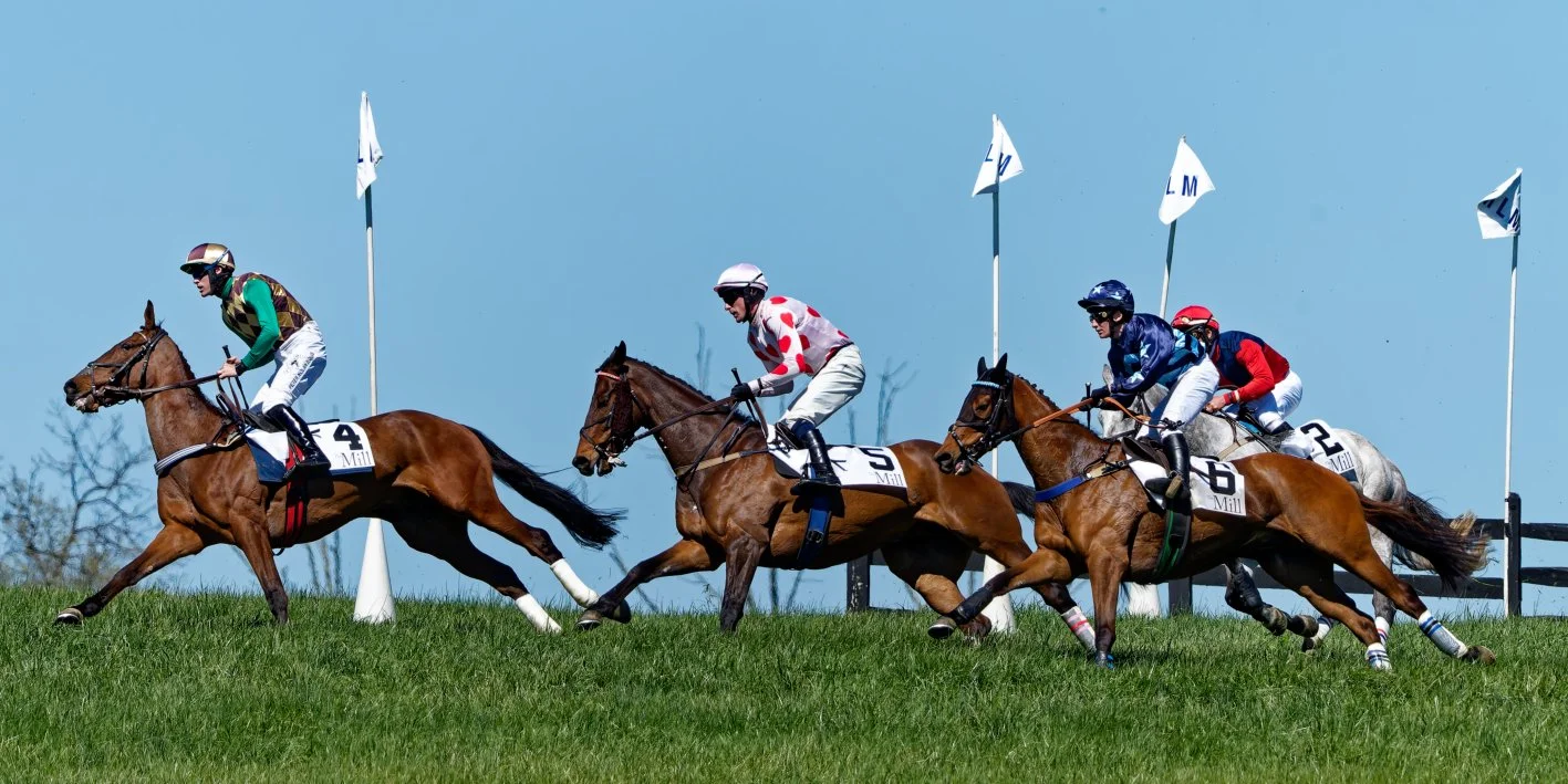 Horse race with five jockeys riding horses on a grassy track against a blue sky background.