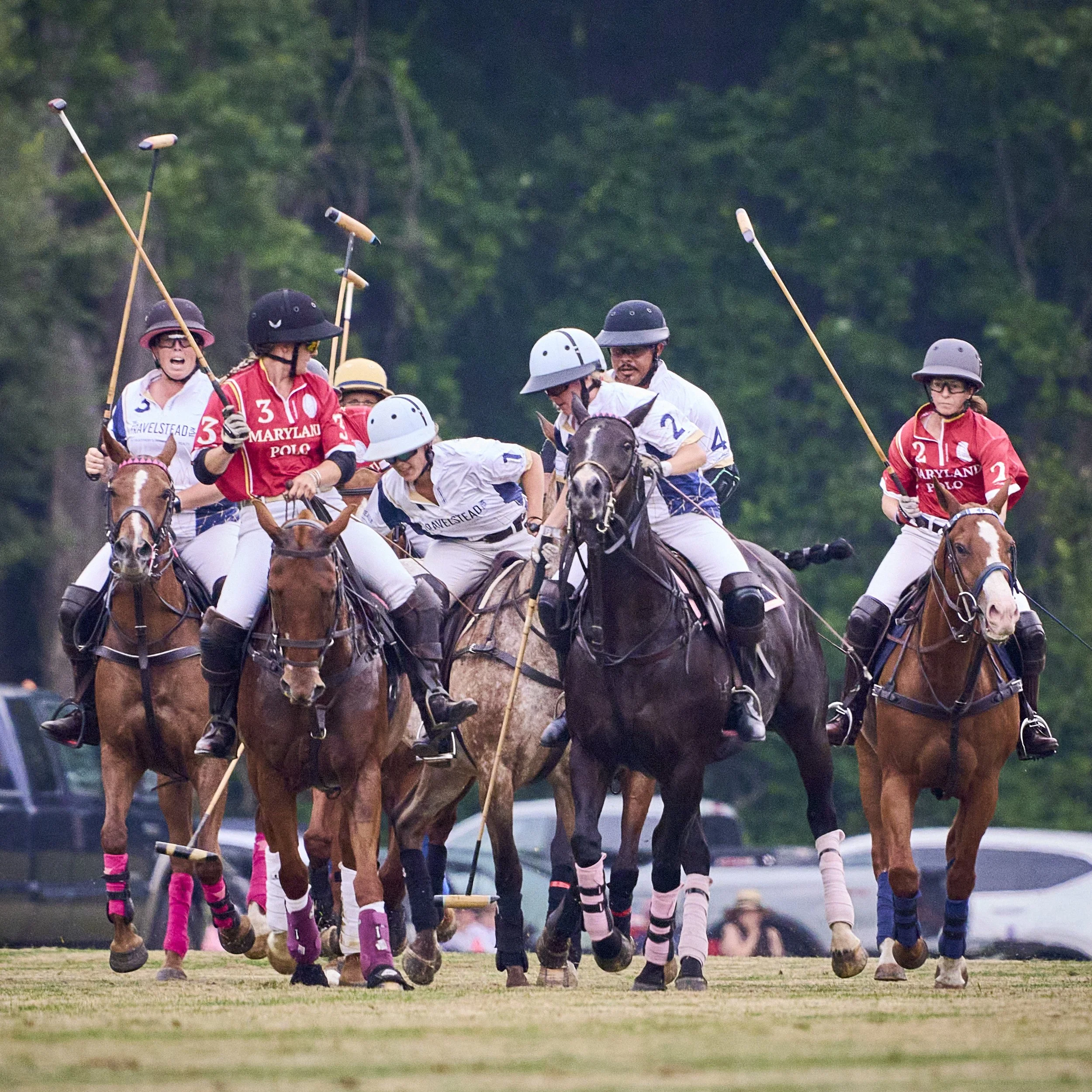 MS-My Lady's Manor Steeplechase Exhibition 6-14-25 172.jpg
