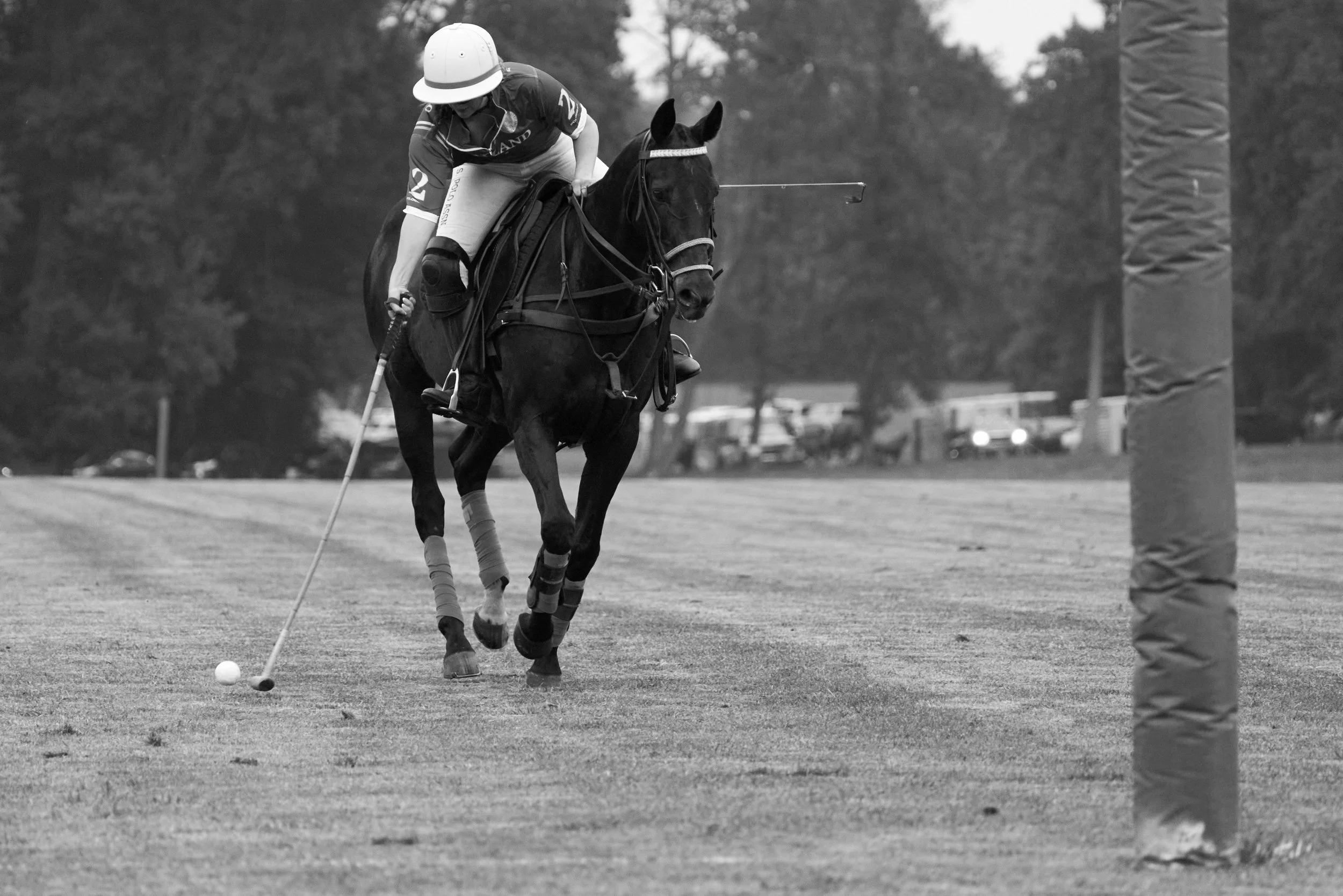 MS-My Lady's Manor Steeplechase Exhibition 6-14-25 15.jpg