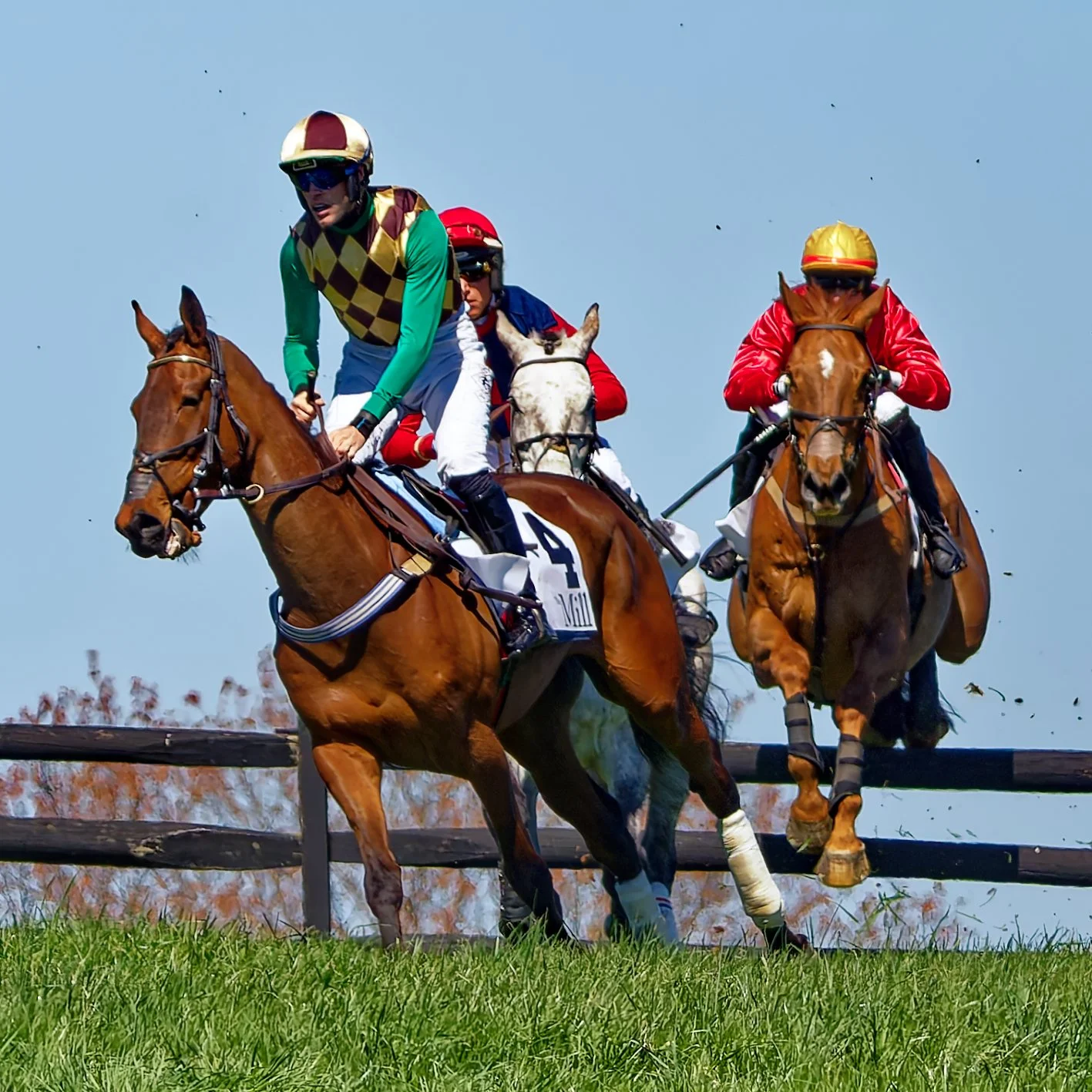 Three racehorses with jockeys galloping on a grassy track under a blue sky.