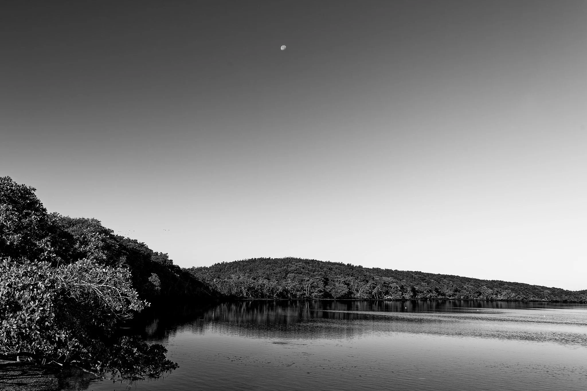DSC00884_DxO.jpg