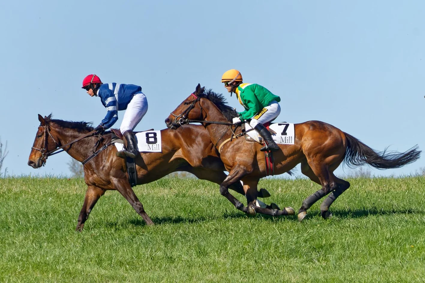 Two jockeys riding racehorses on a grassy track during a race.