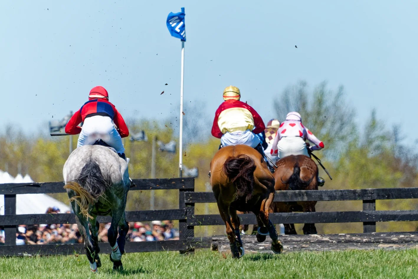 Horses and jockeys race on a turf track during a horse racing event with a crowd of spectators in the background.