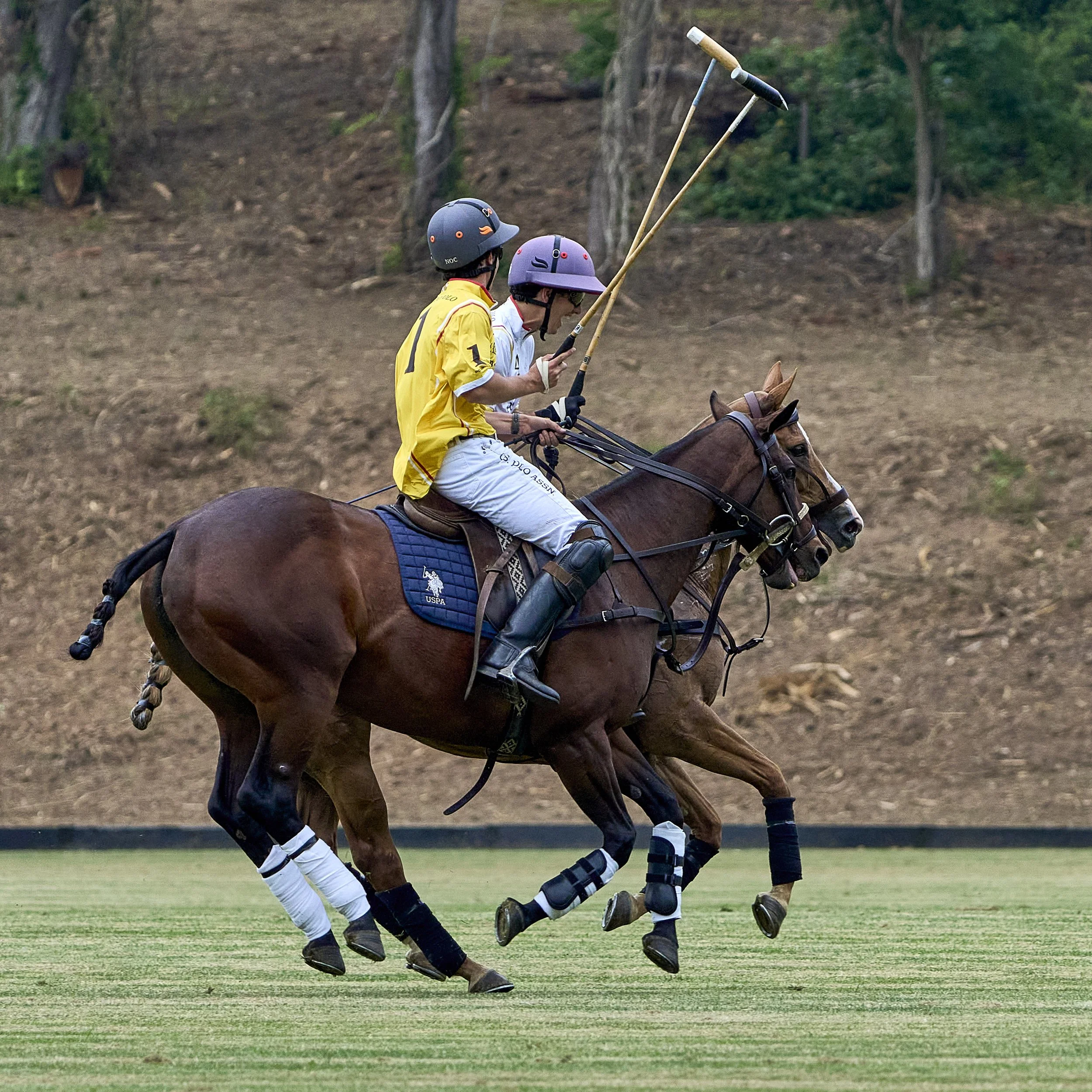 MS-My Lady's Manor Steeplechase Exhibition 6-14-25 52.jpg