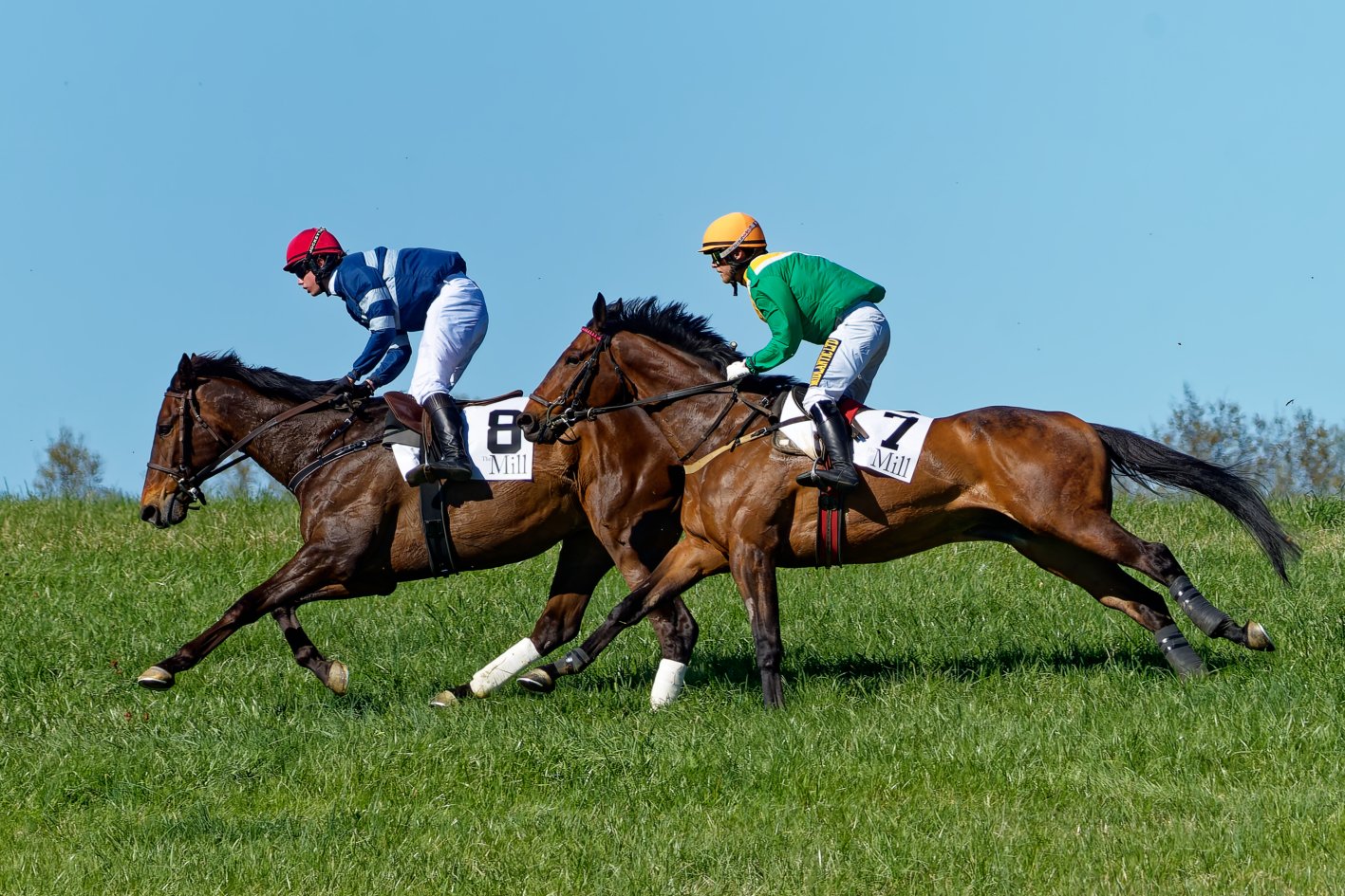 Two jockeys riding racehorses in a steeplechase, jumping over a grassy field on a clear day.