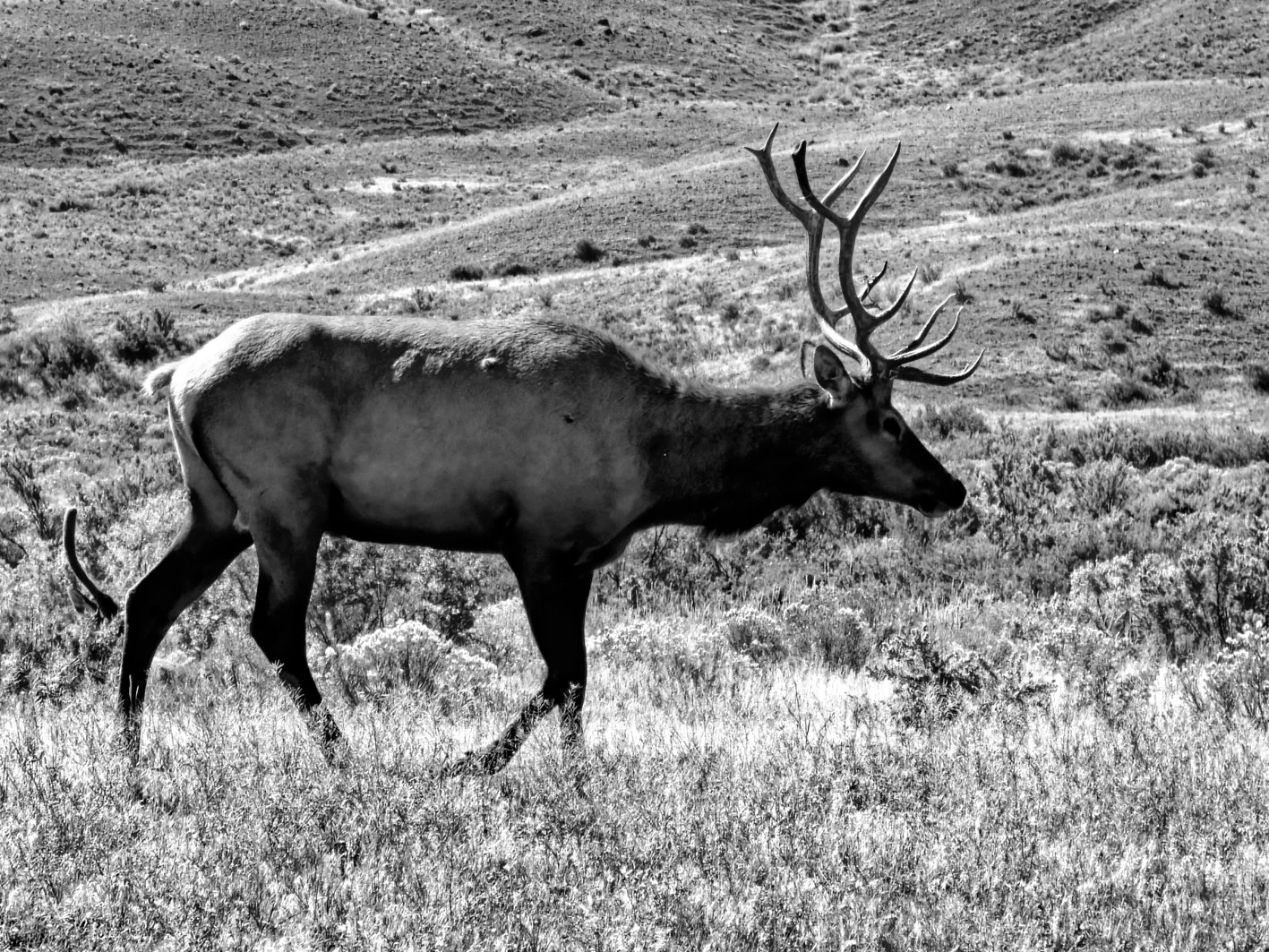 20260906_120319(1).jpg