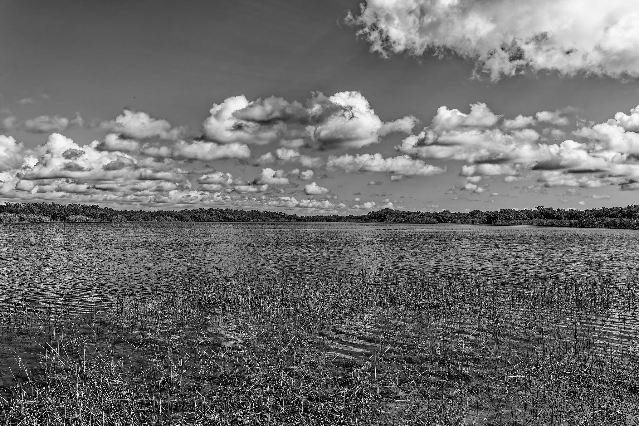 DSC00868_DxO.jpg