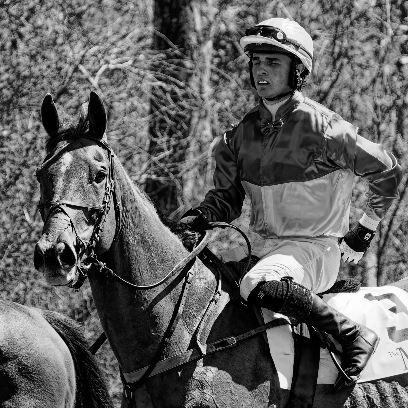 A jockey riding a horse during a horse race with a background of trees.
